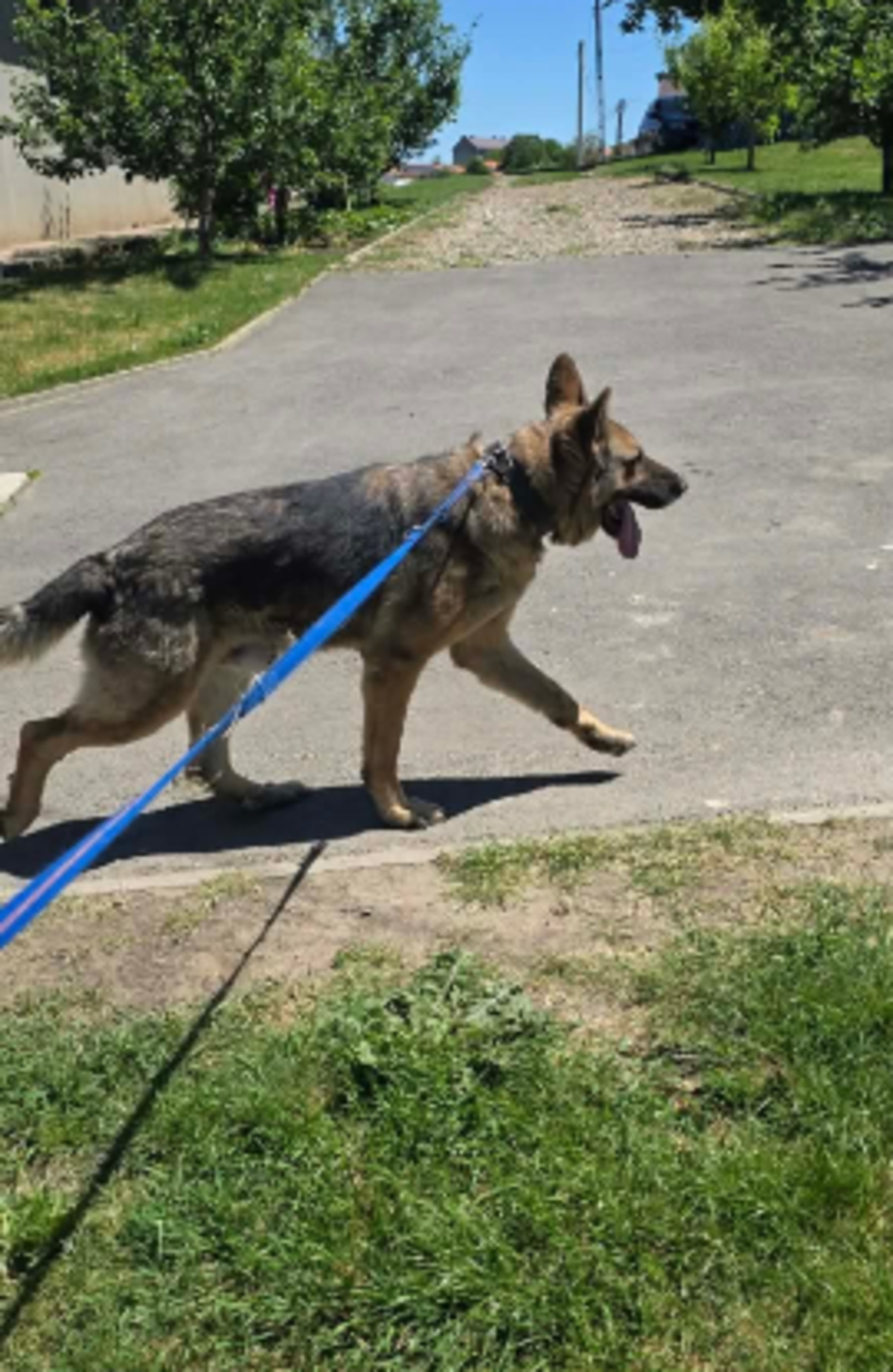 Adoption Kaiser