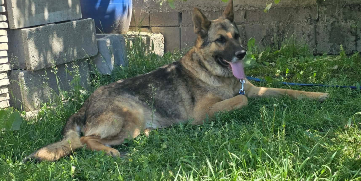 Adoption Kaiser