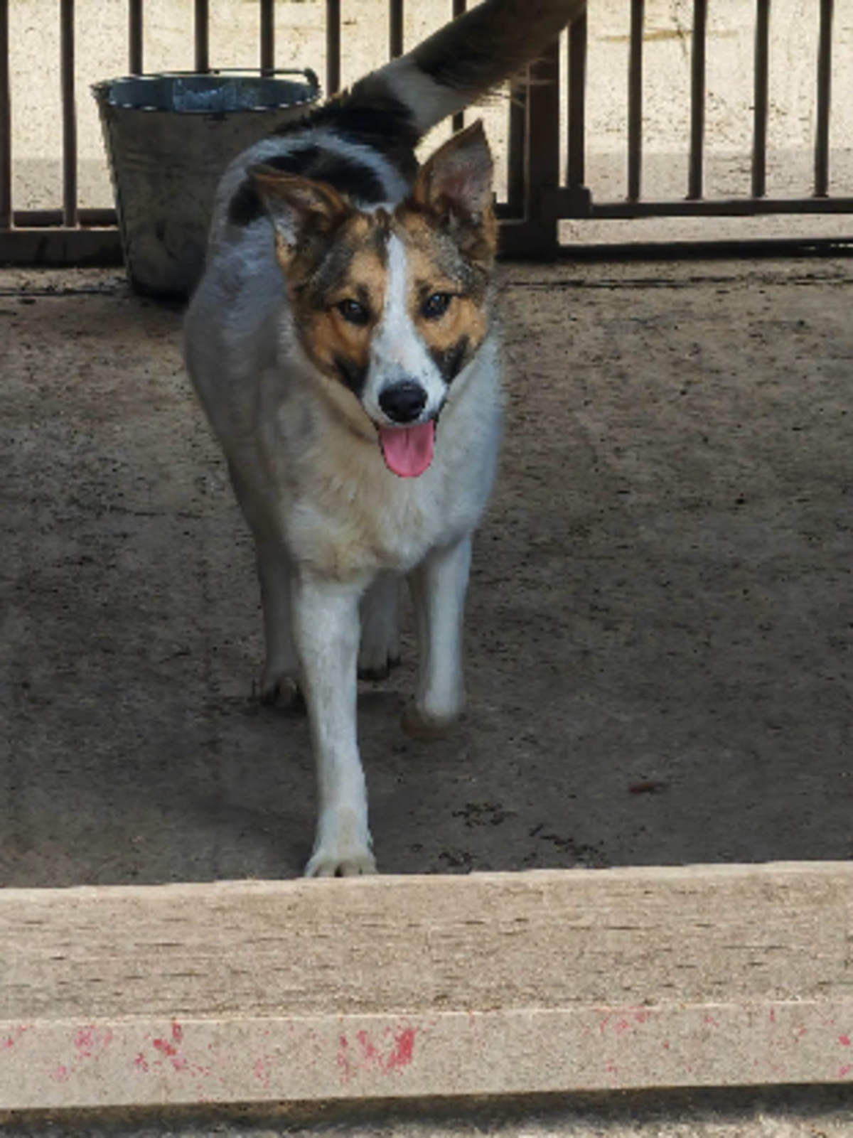 Adoption Kaitlyn