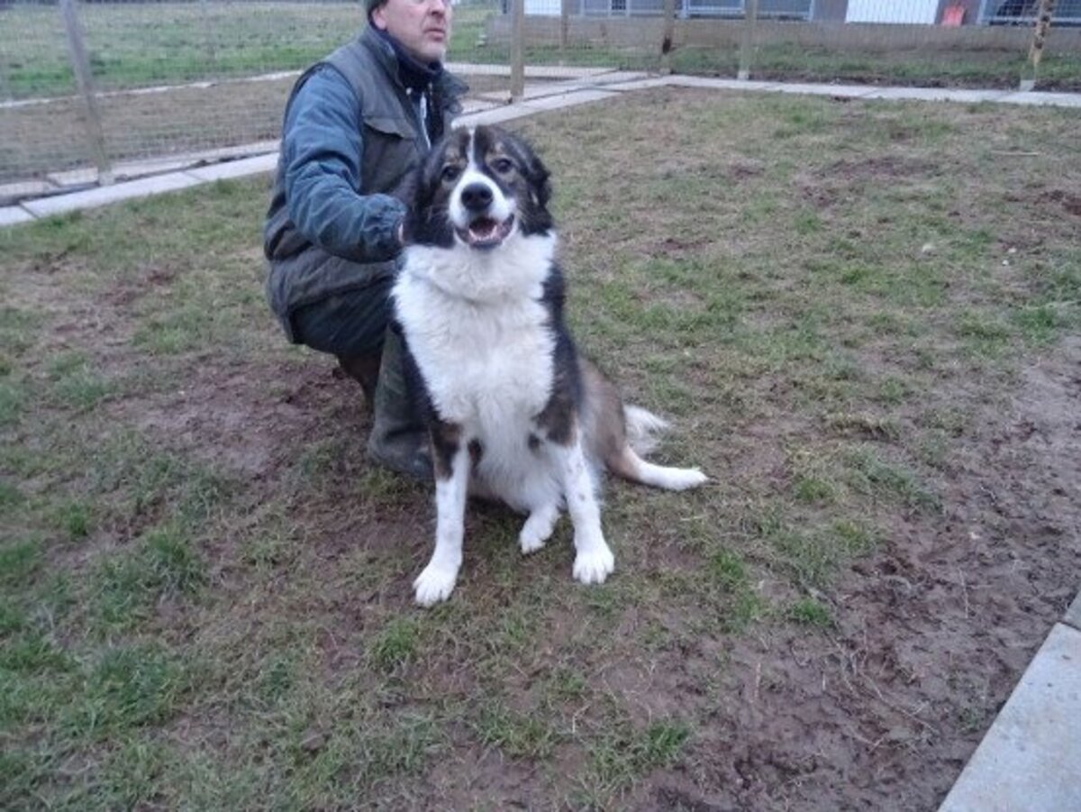 Adoption Kaly