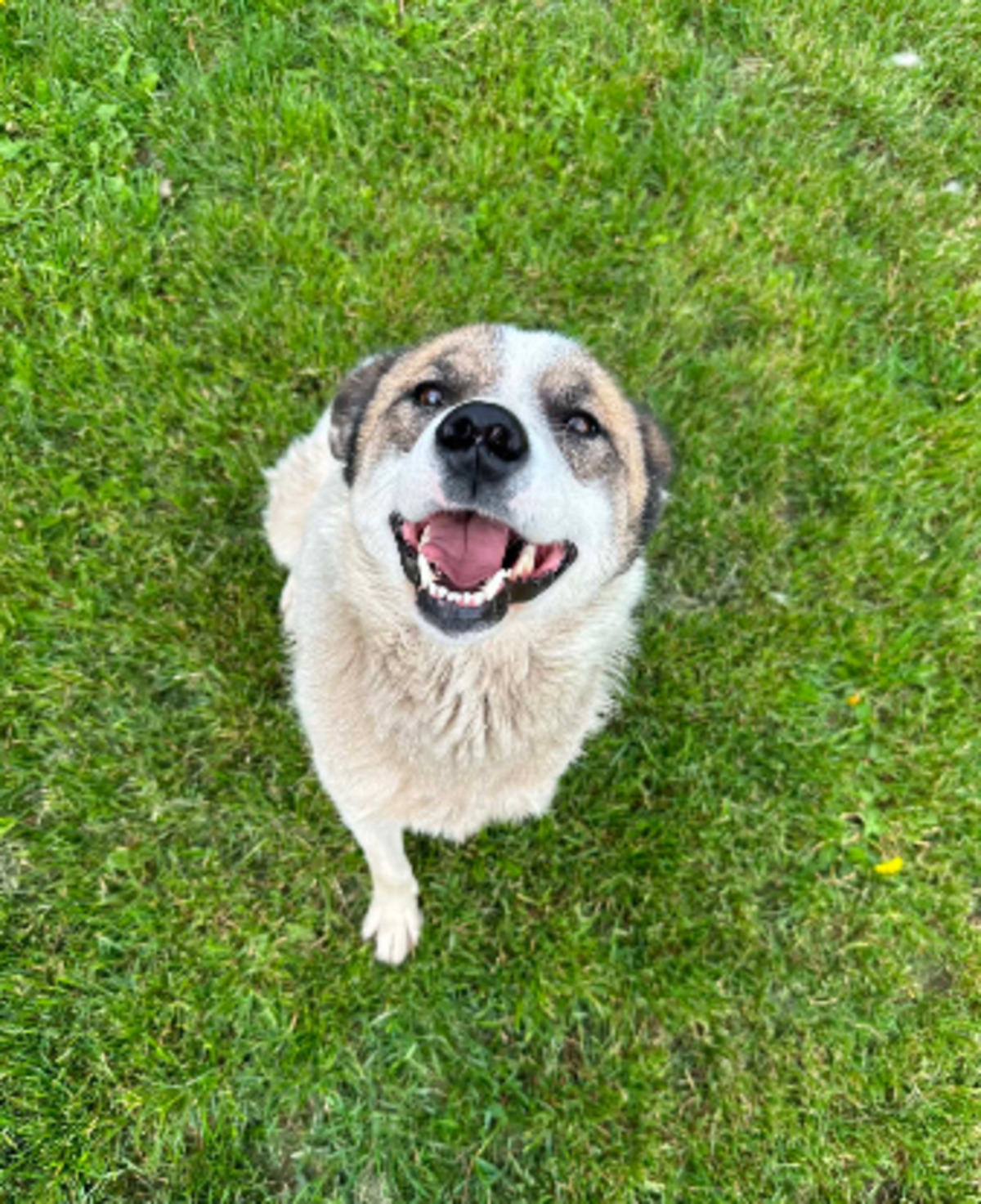 Adoption Karin