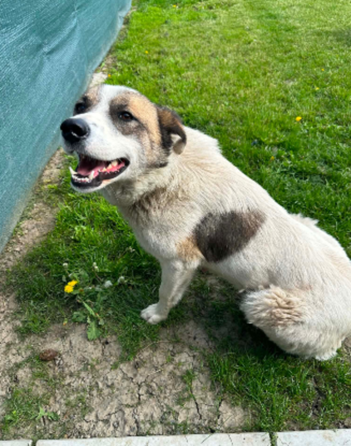 Adoption Karin