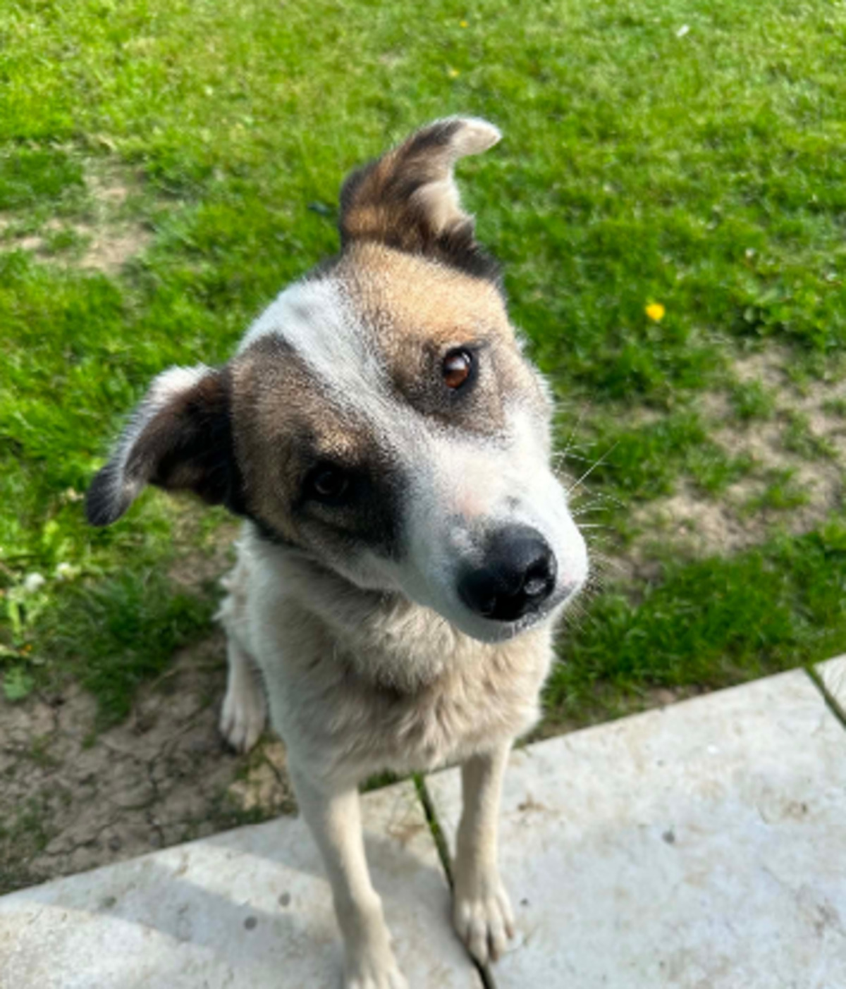 Adoption Karin