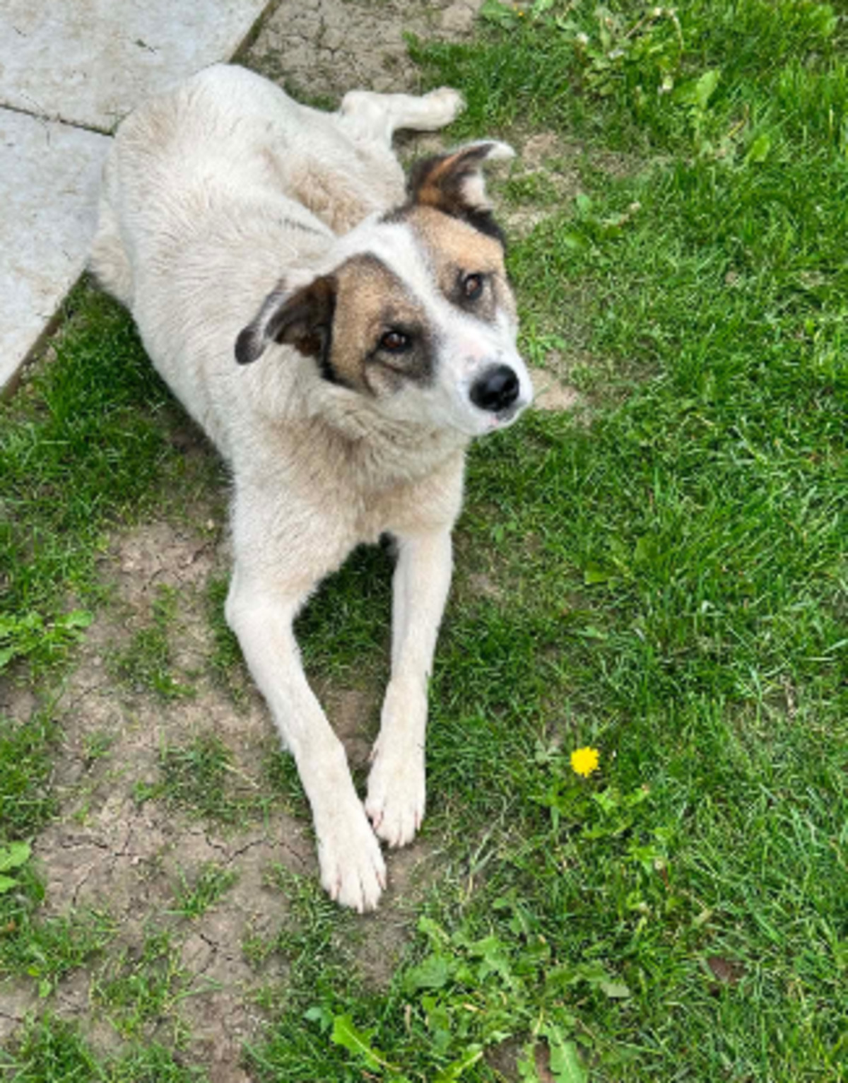 Adoption Karin
