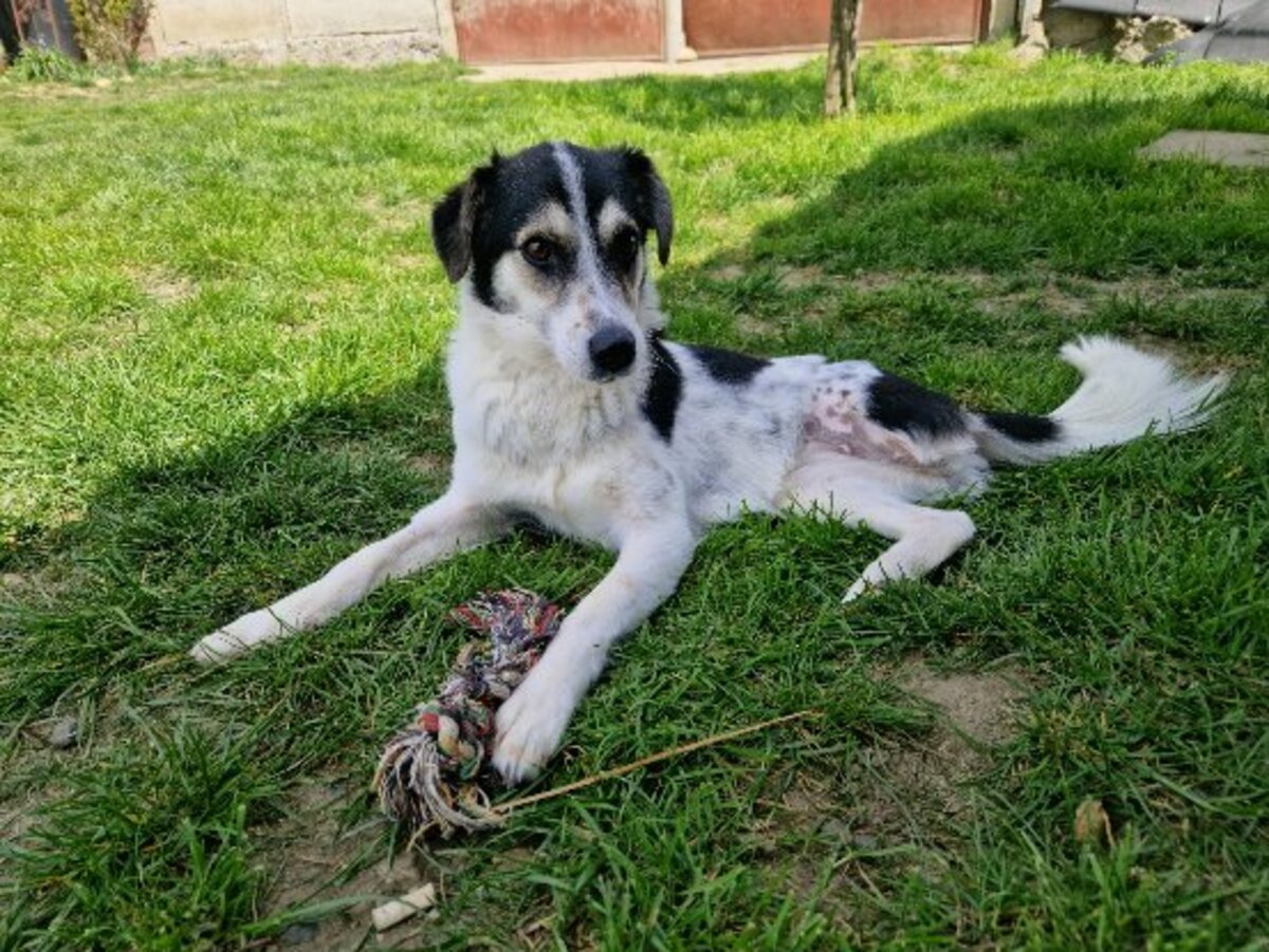 Adoption Karla