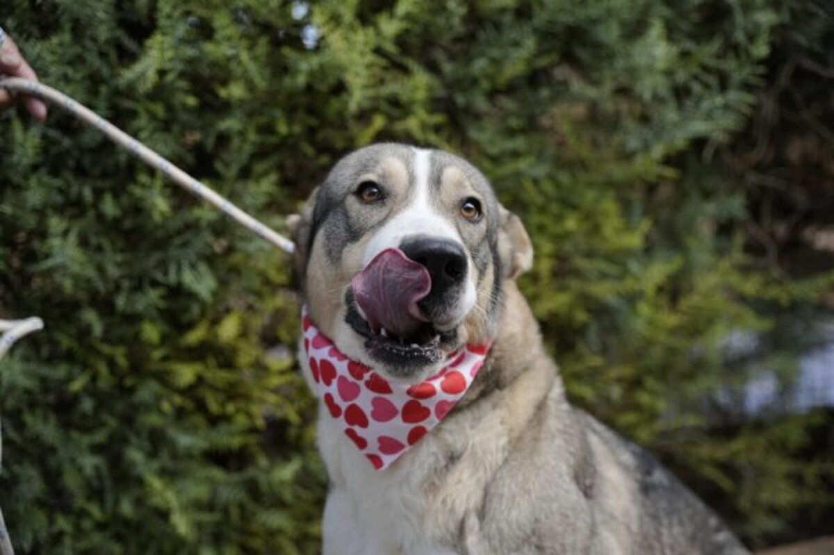 Adoption Keyla