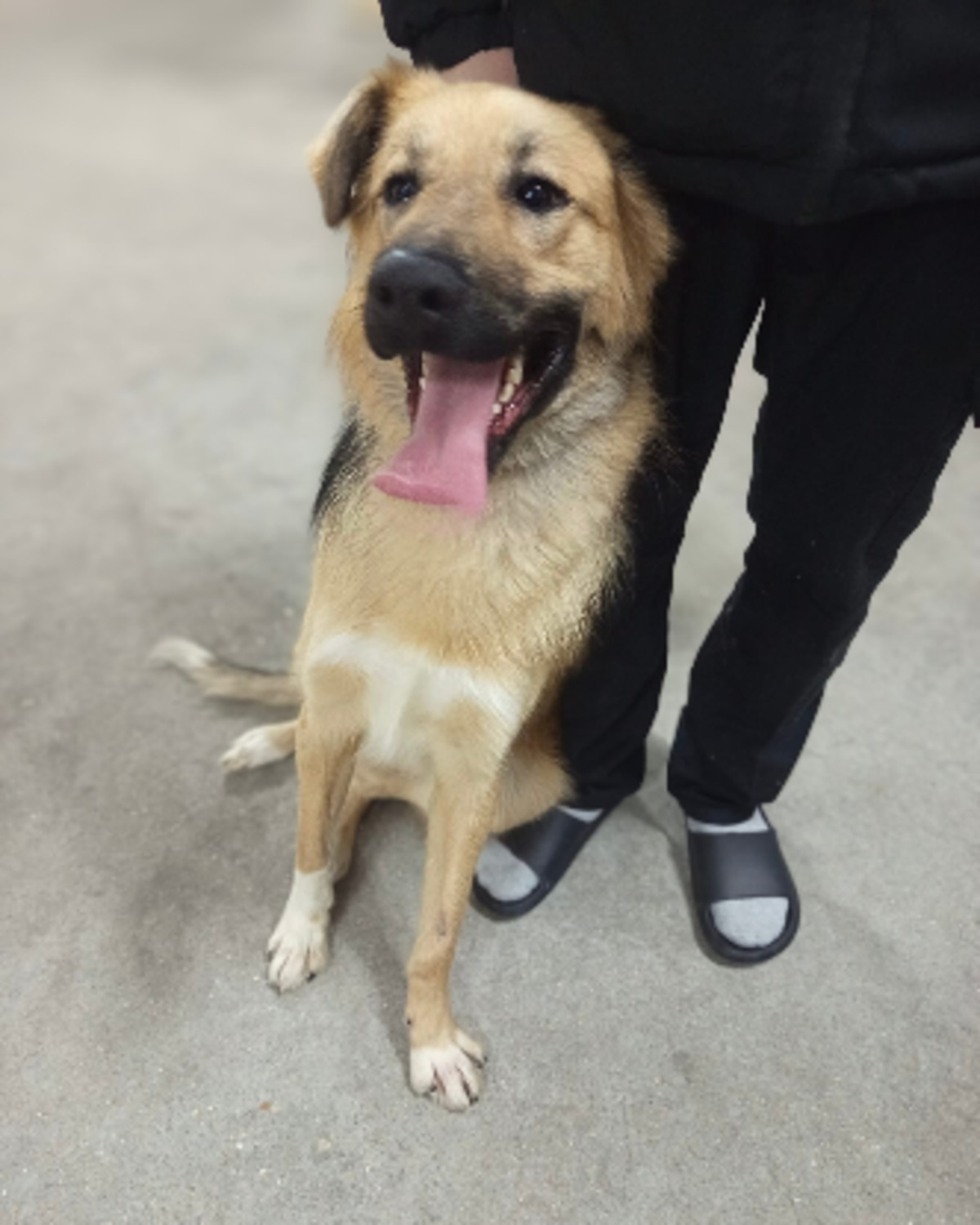Adoption Kinder