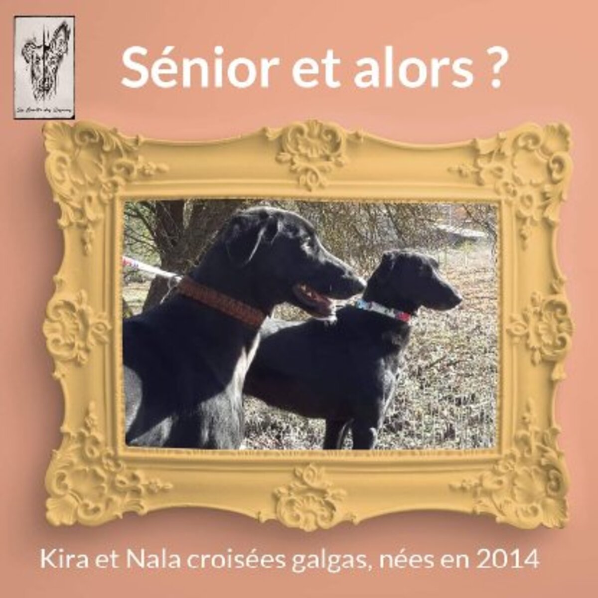 Adoption Kira et nala