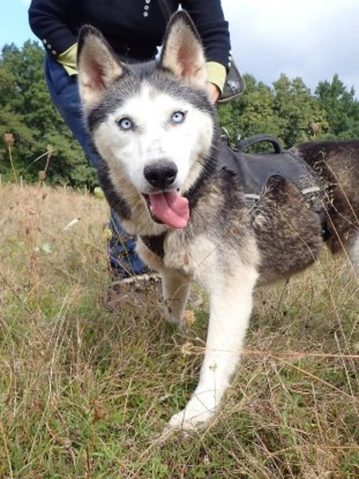 Adoption Kira2