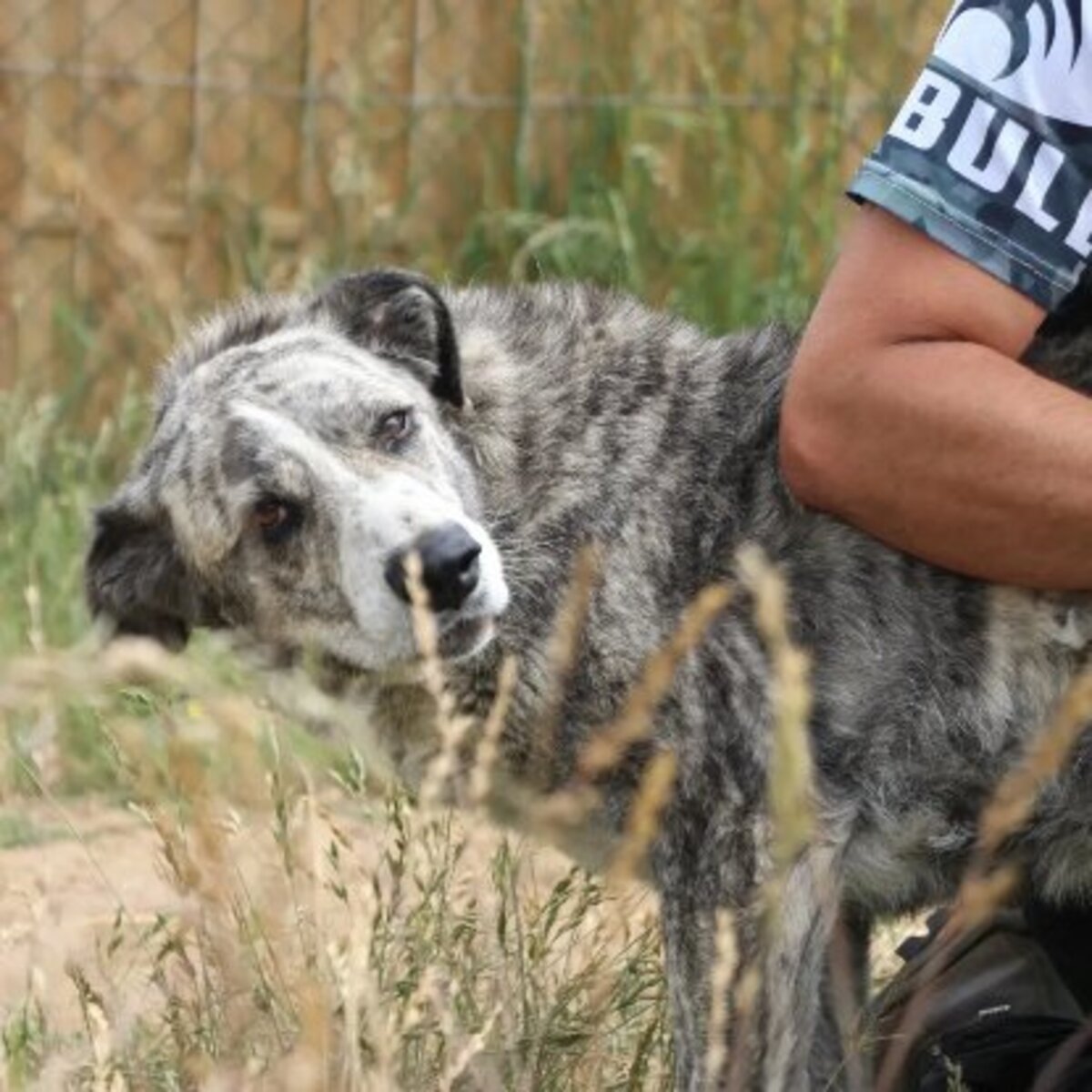 Adoption Liliya