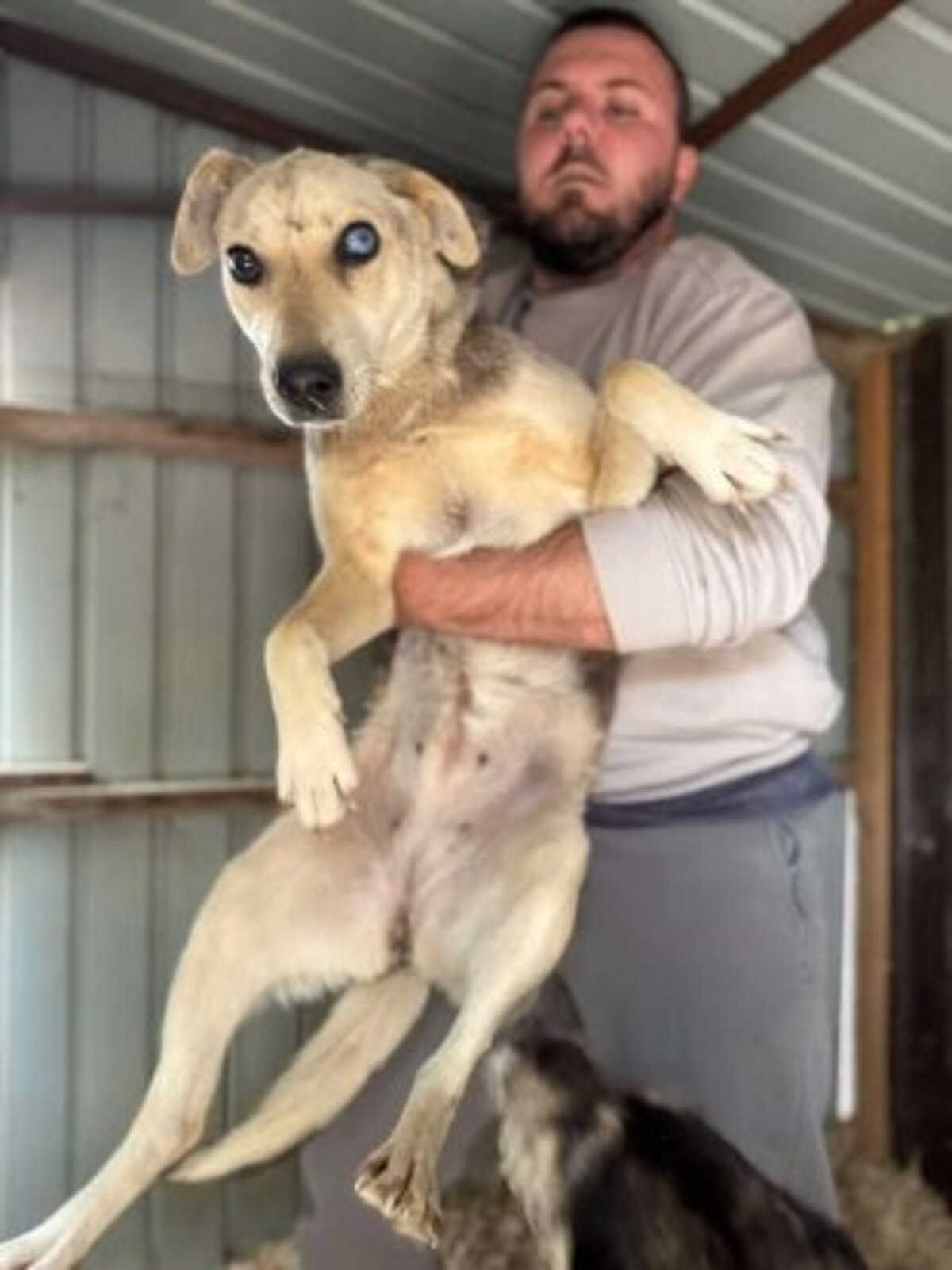 Adoption Liora
