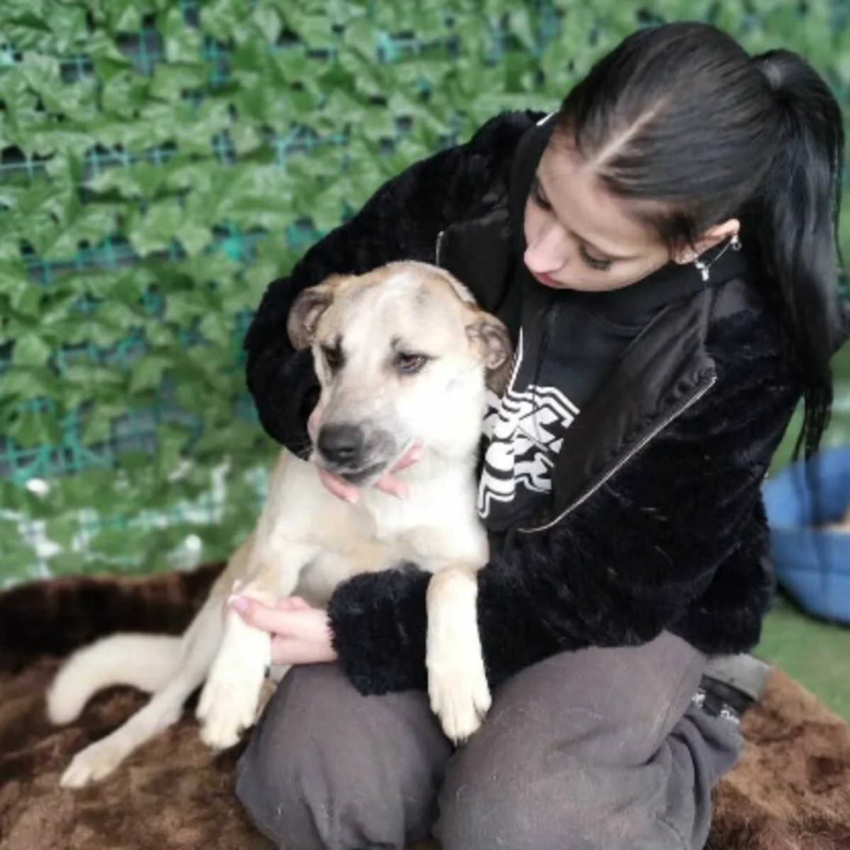 Adoption Looping