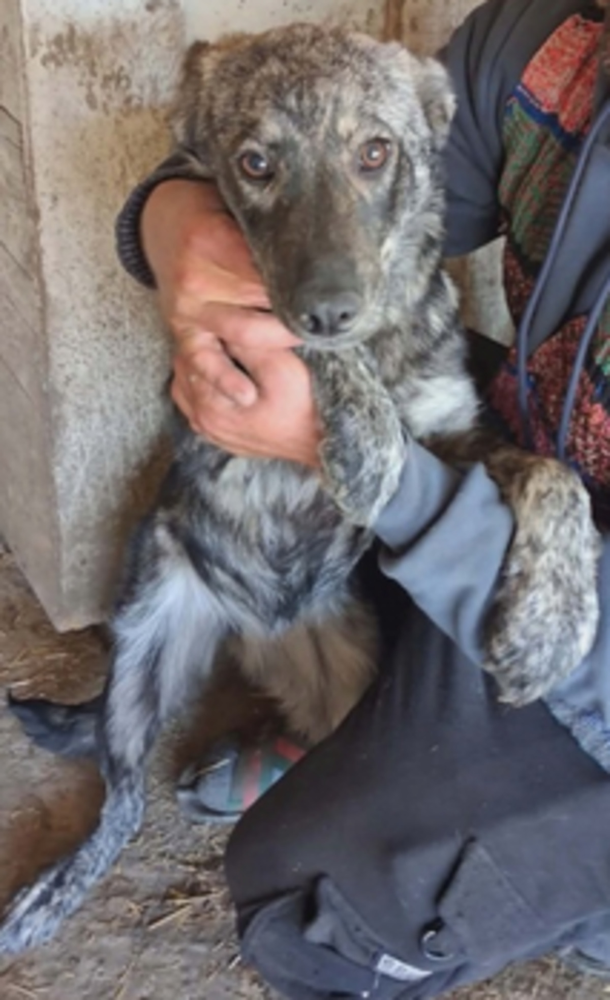 Adoption Lunelle
