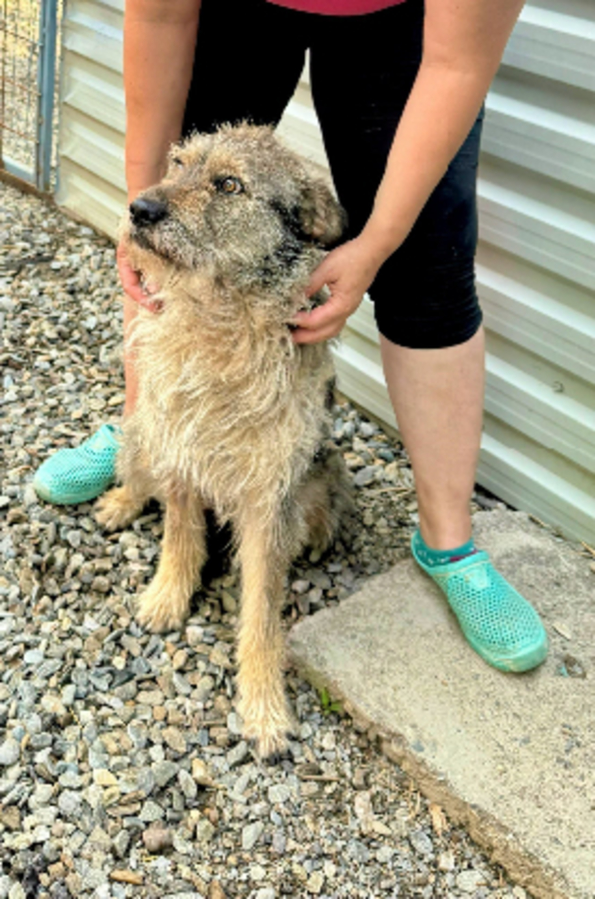 Adoption Magda