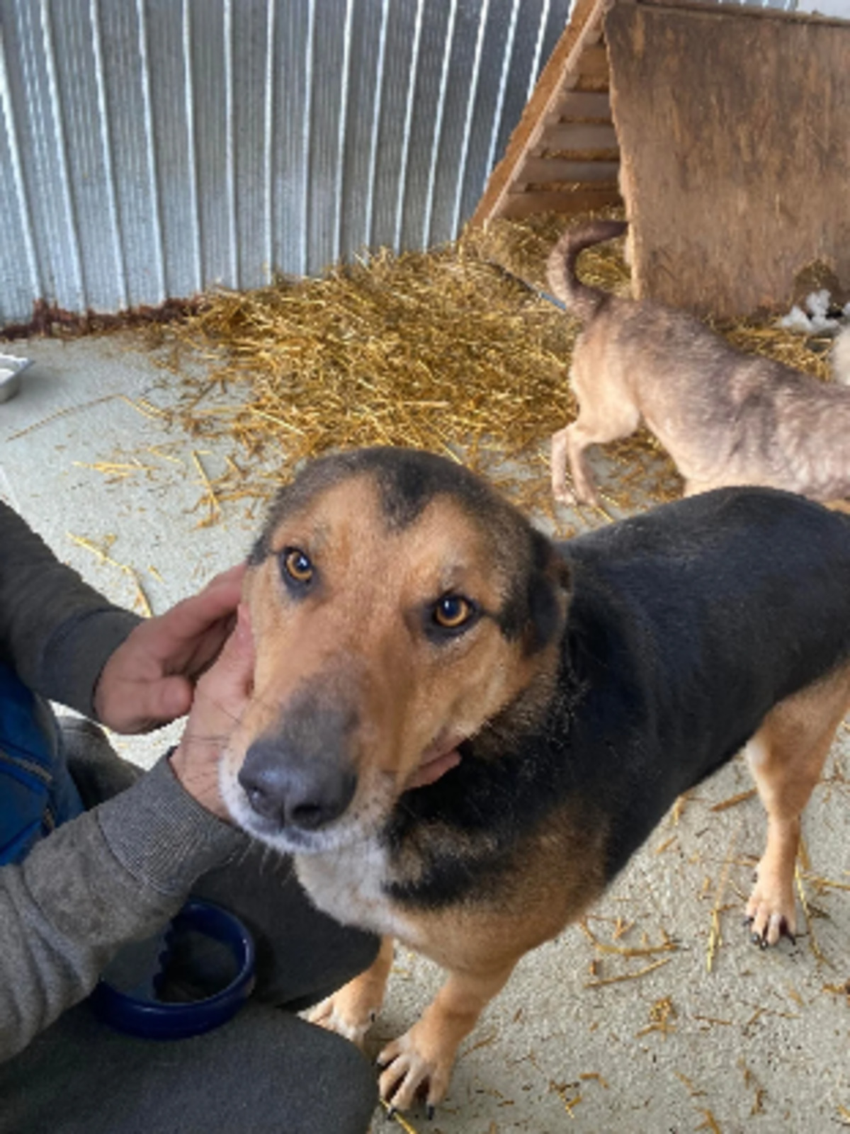 Adoption Malcolm