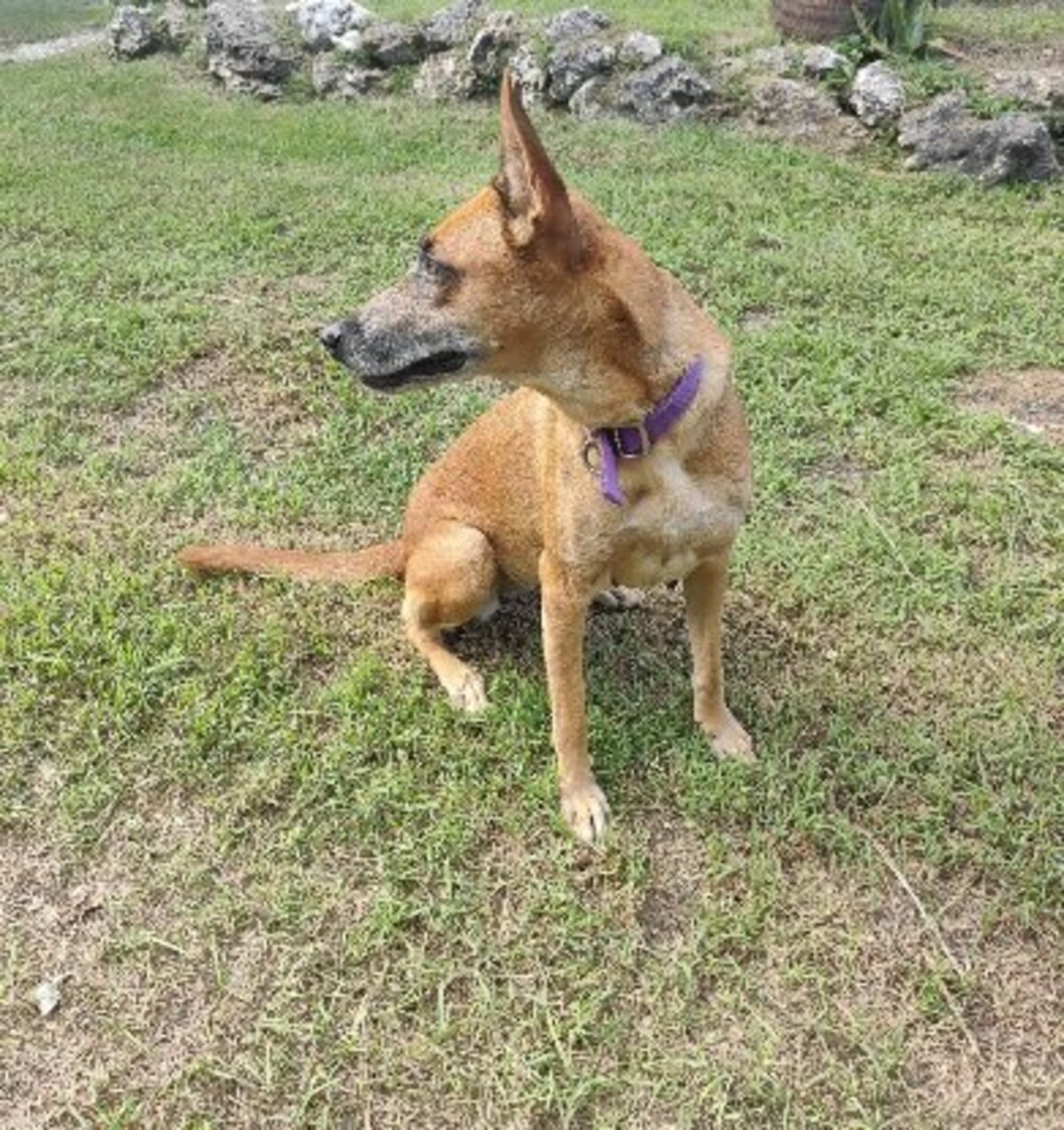 Adoption Malia