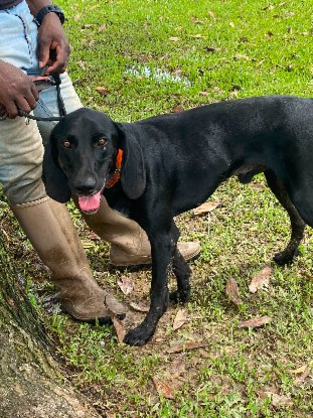 Adoption Marcus