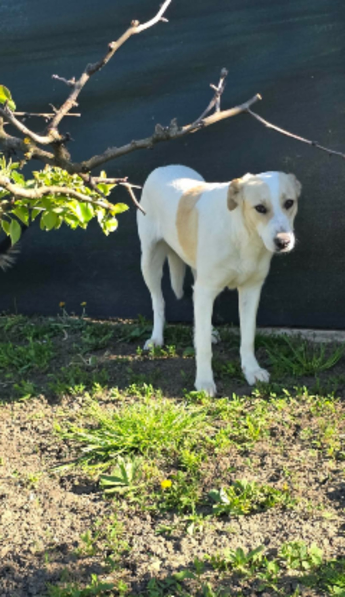Adoption Marilou