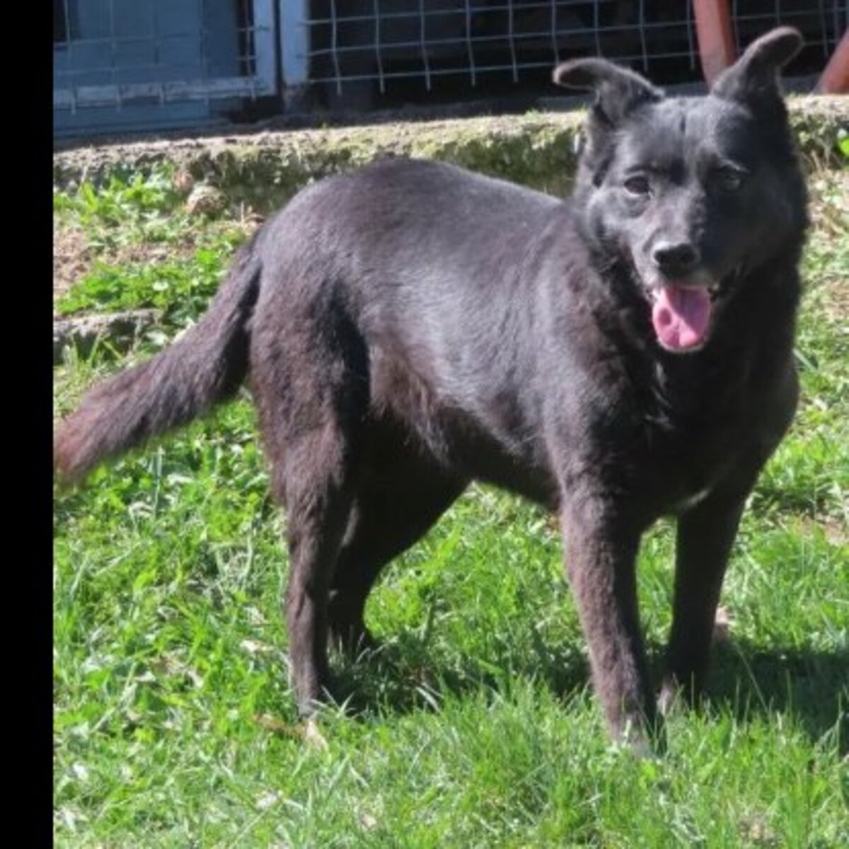 Adoption Mexique