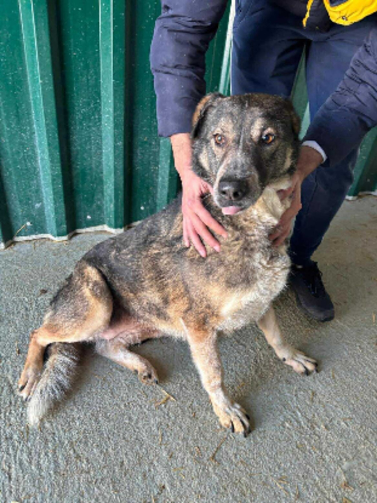 Adoption Mireille