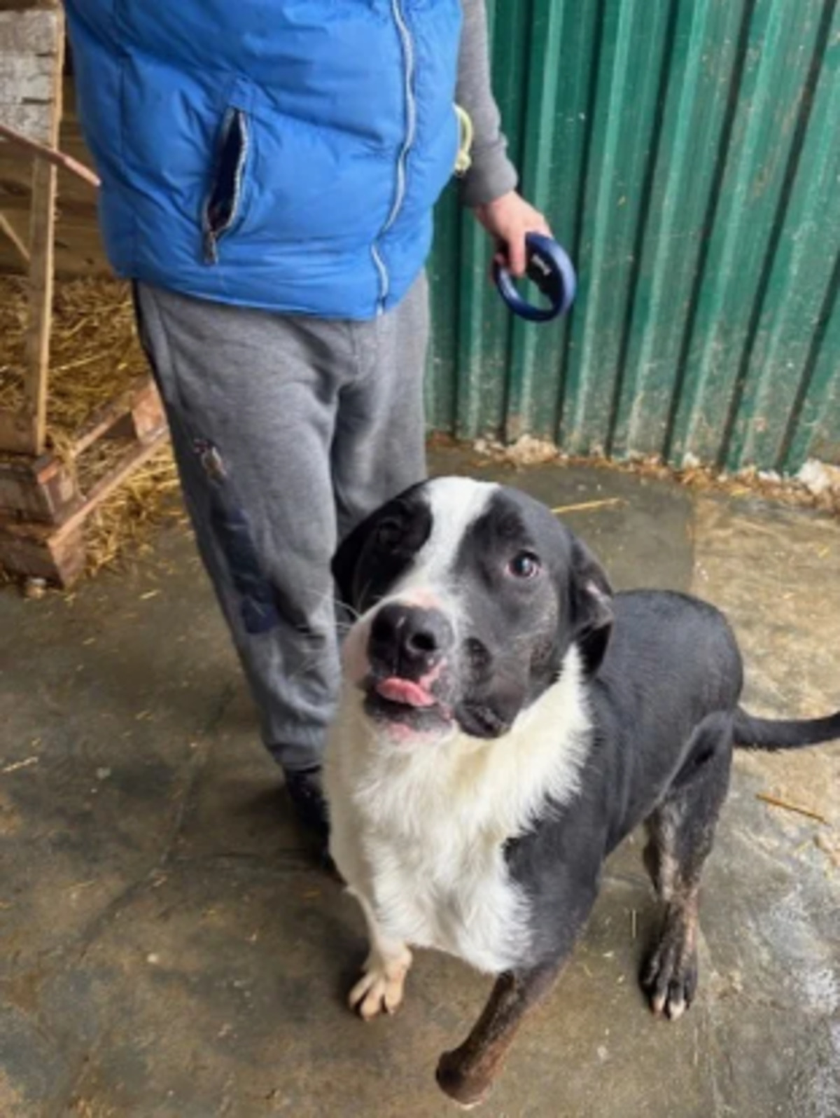 Adoption Mojo