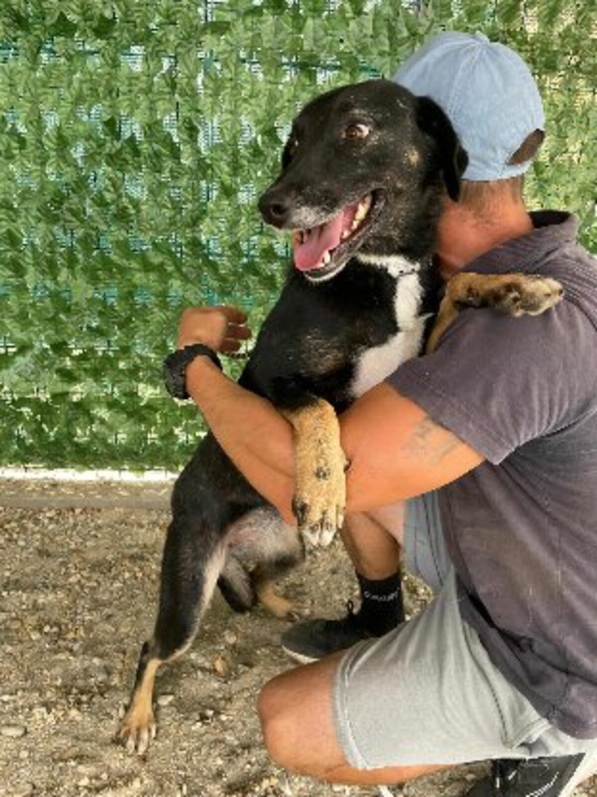 Adoption Mora