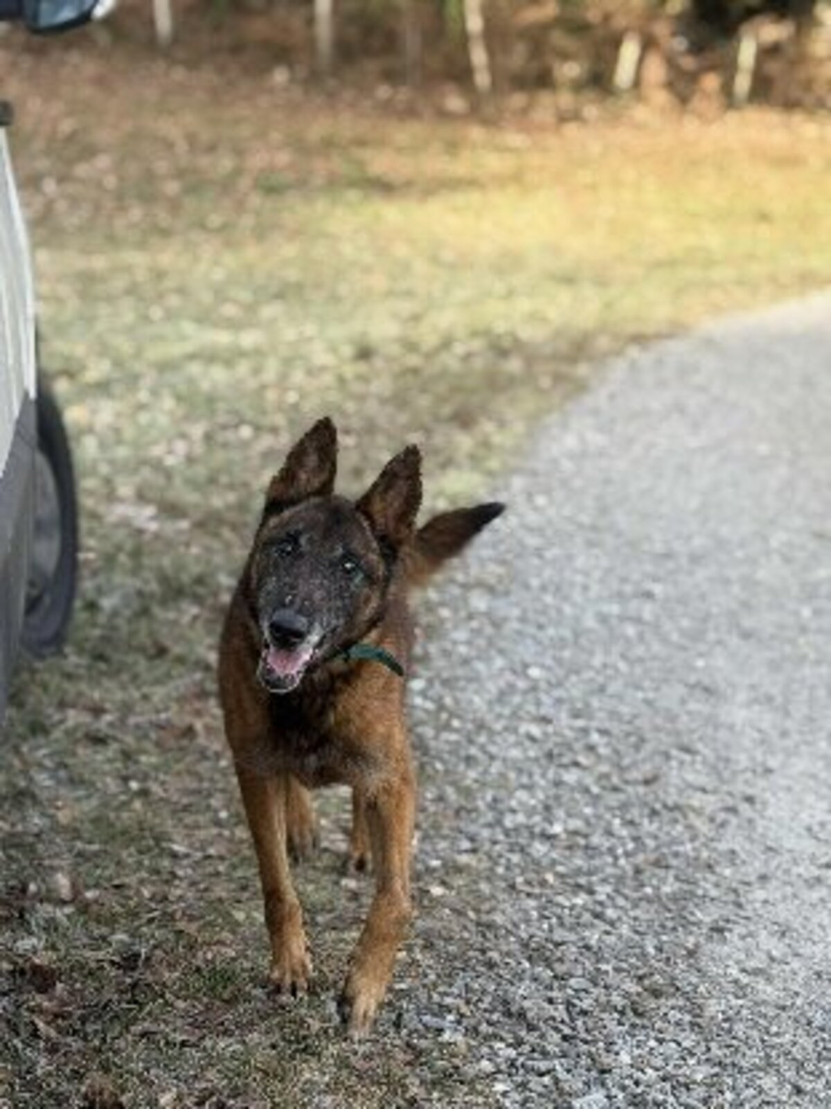 Adoption Murphy