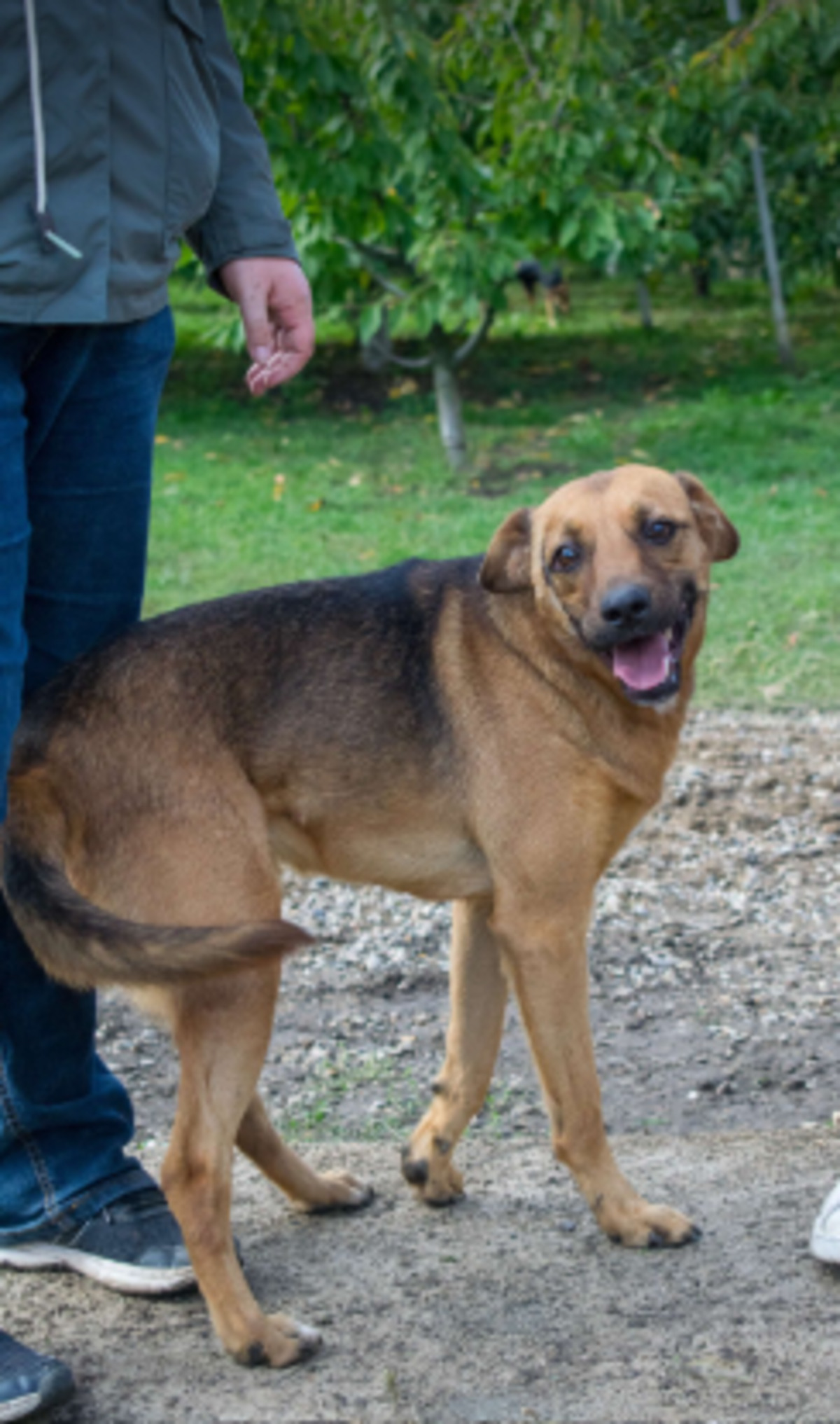 Adoption Murray