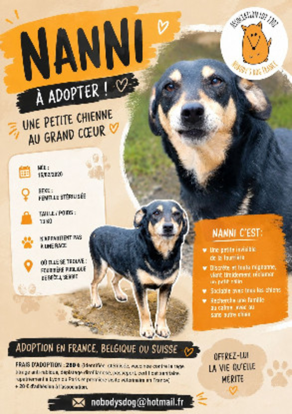 Adoption Nanni