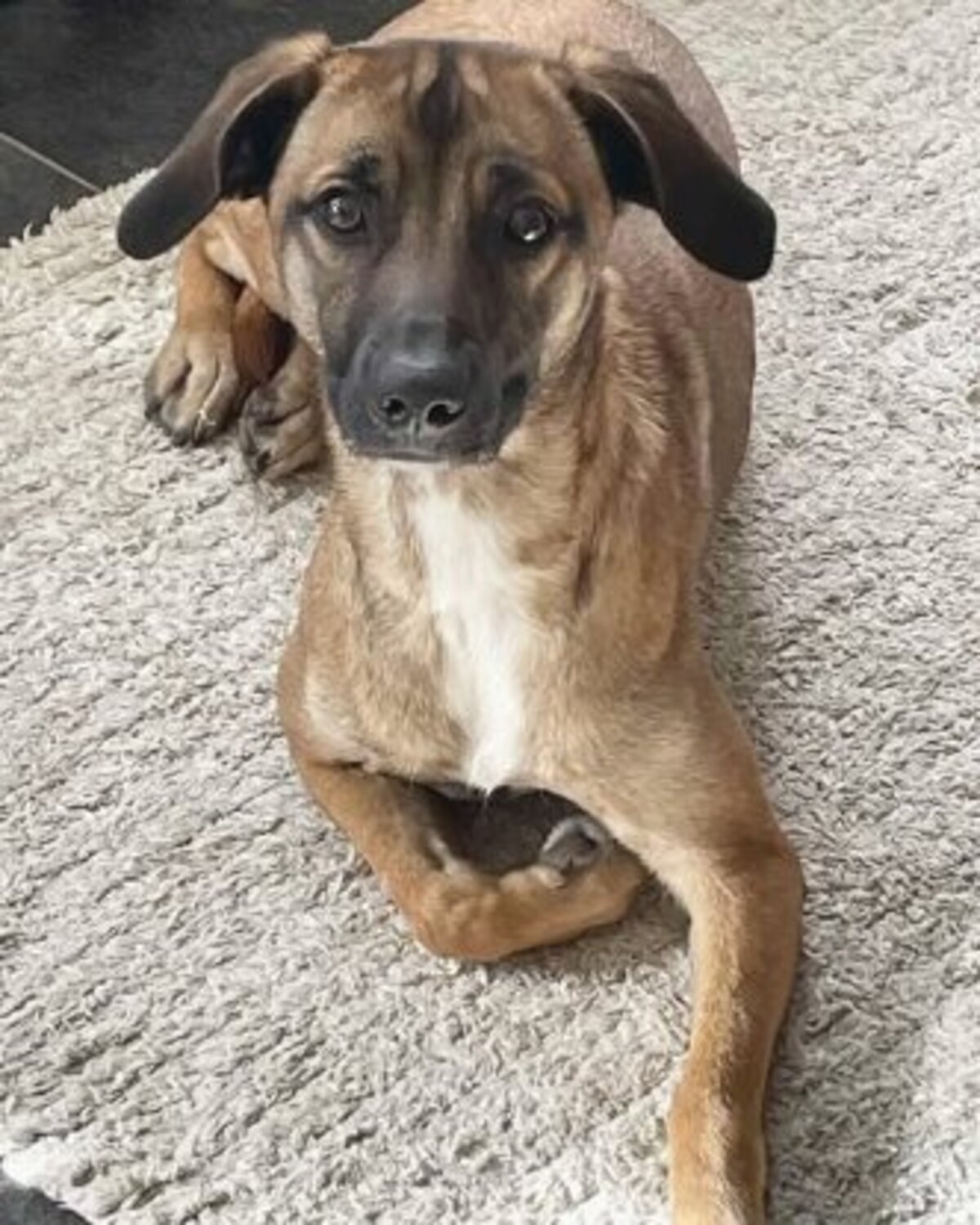 Adoption Naska