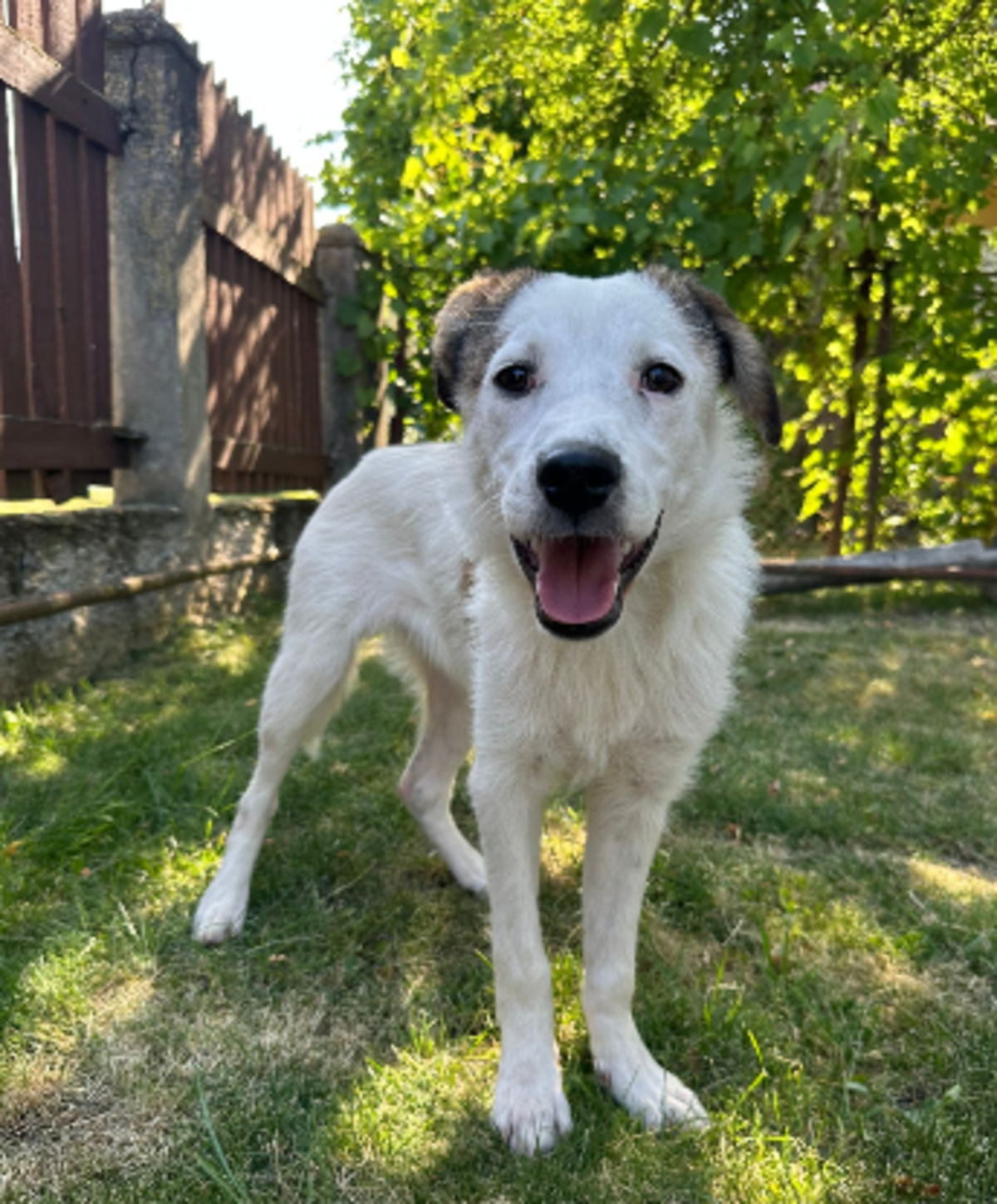 Adoption Natasha