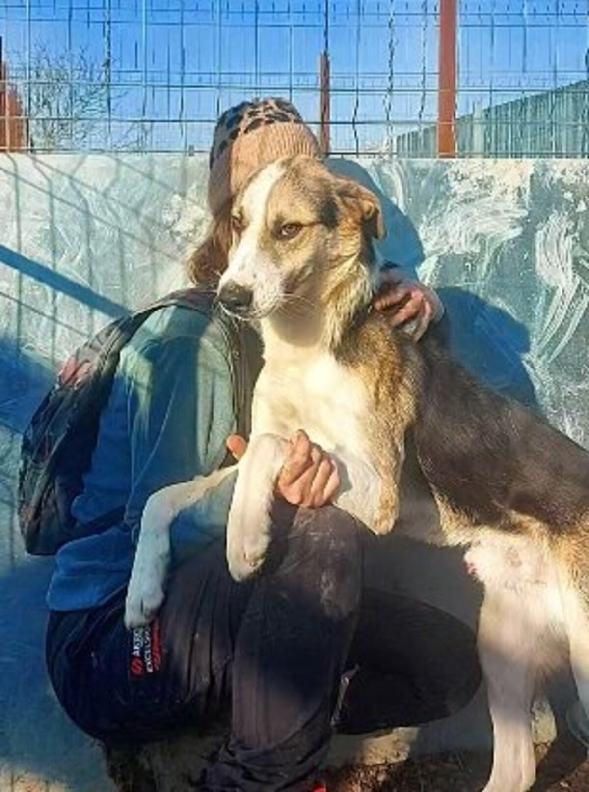 Adoption Nicky