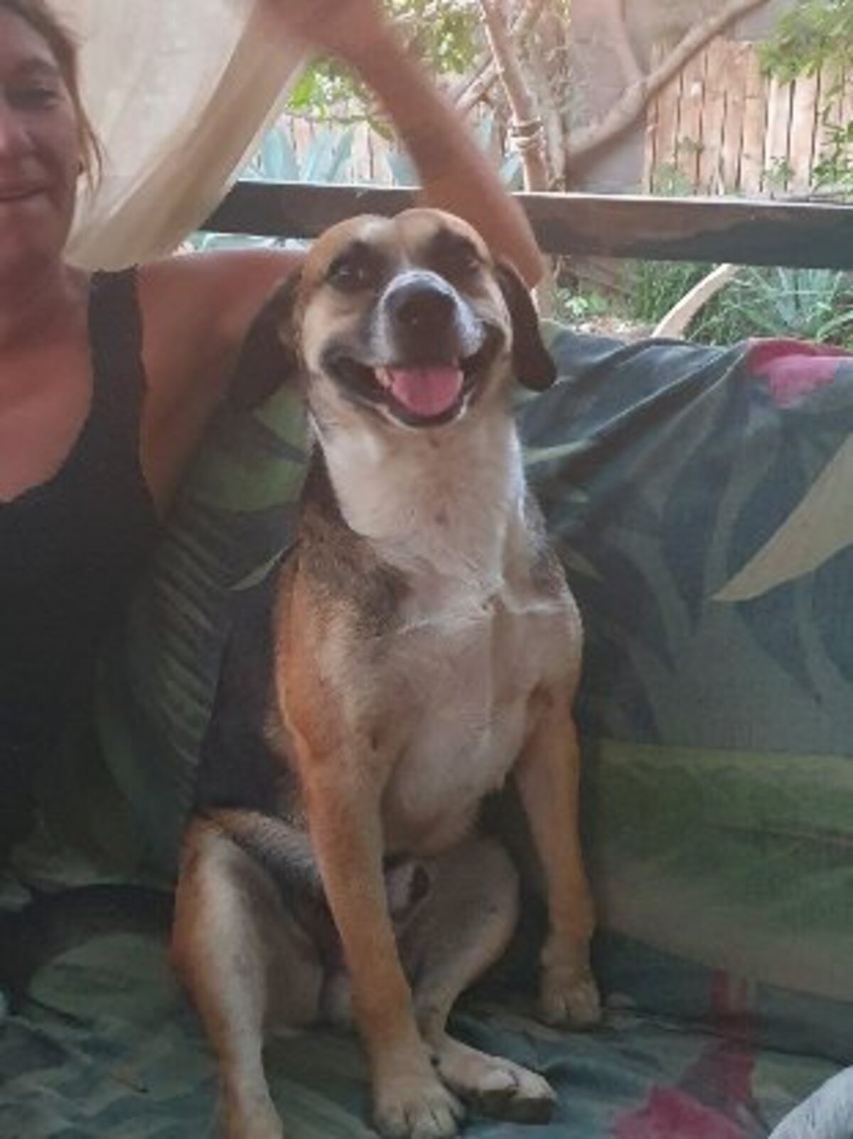 Adoption Noname