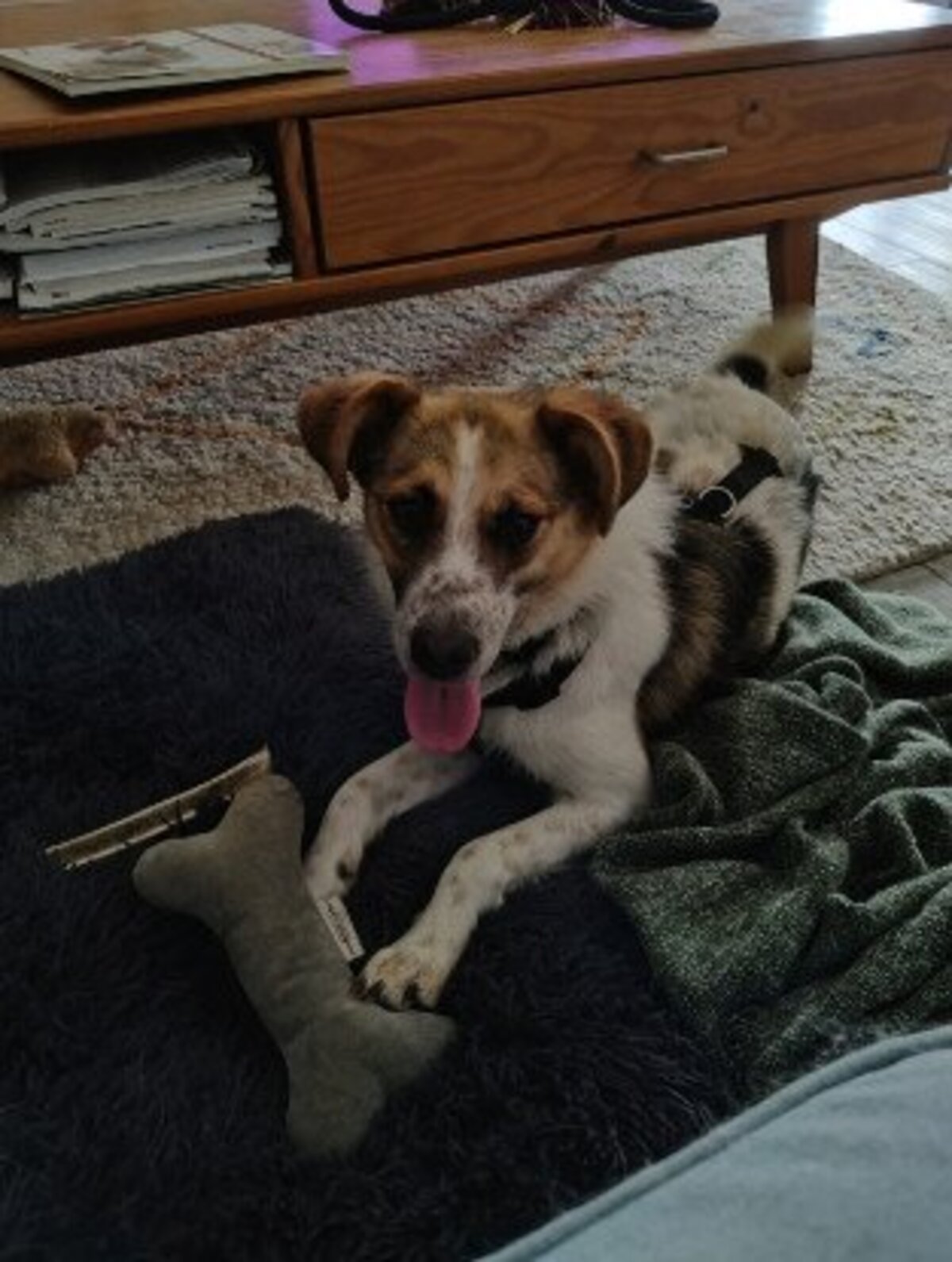 Adoption Nooky