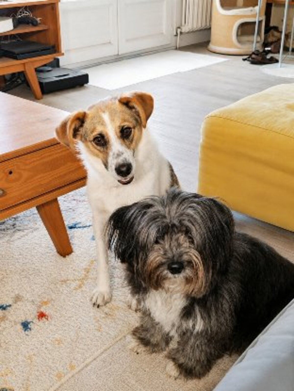 Adoption Nooky