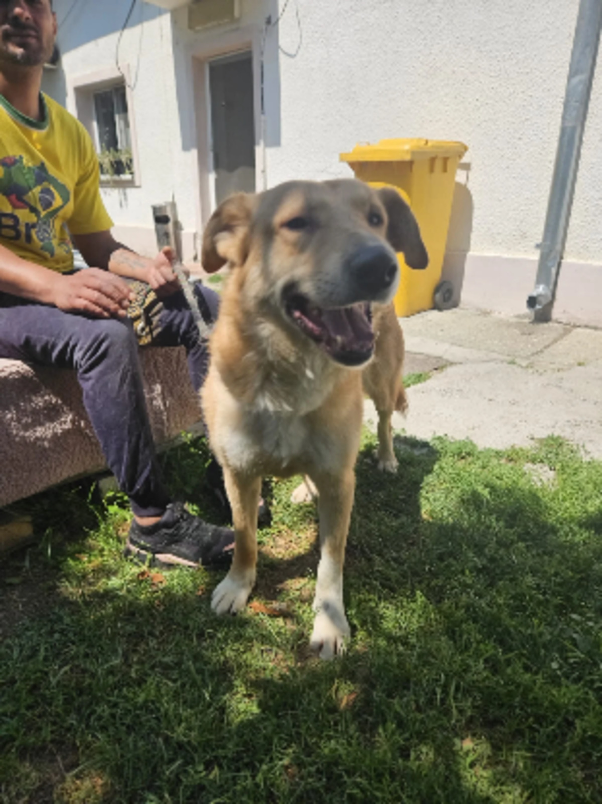 Adoption Passy