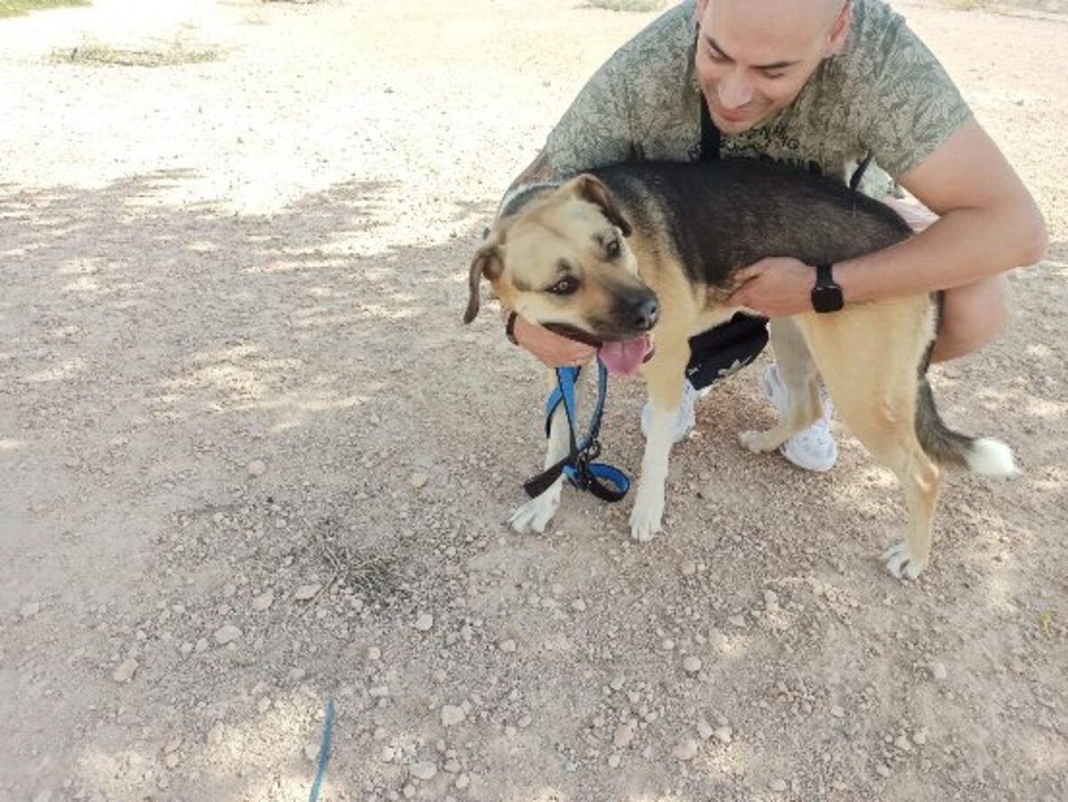 Adoption Perma
