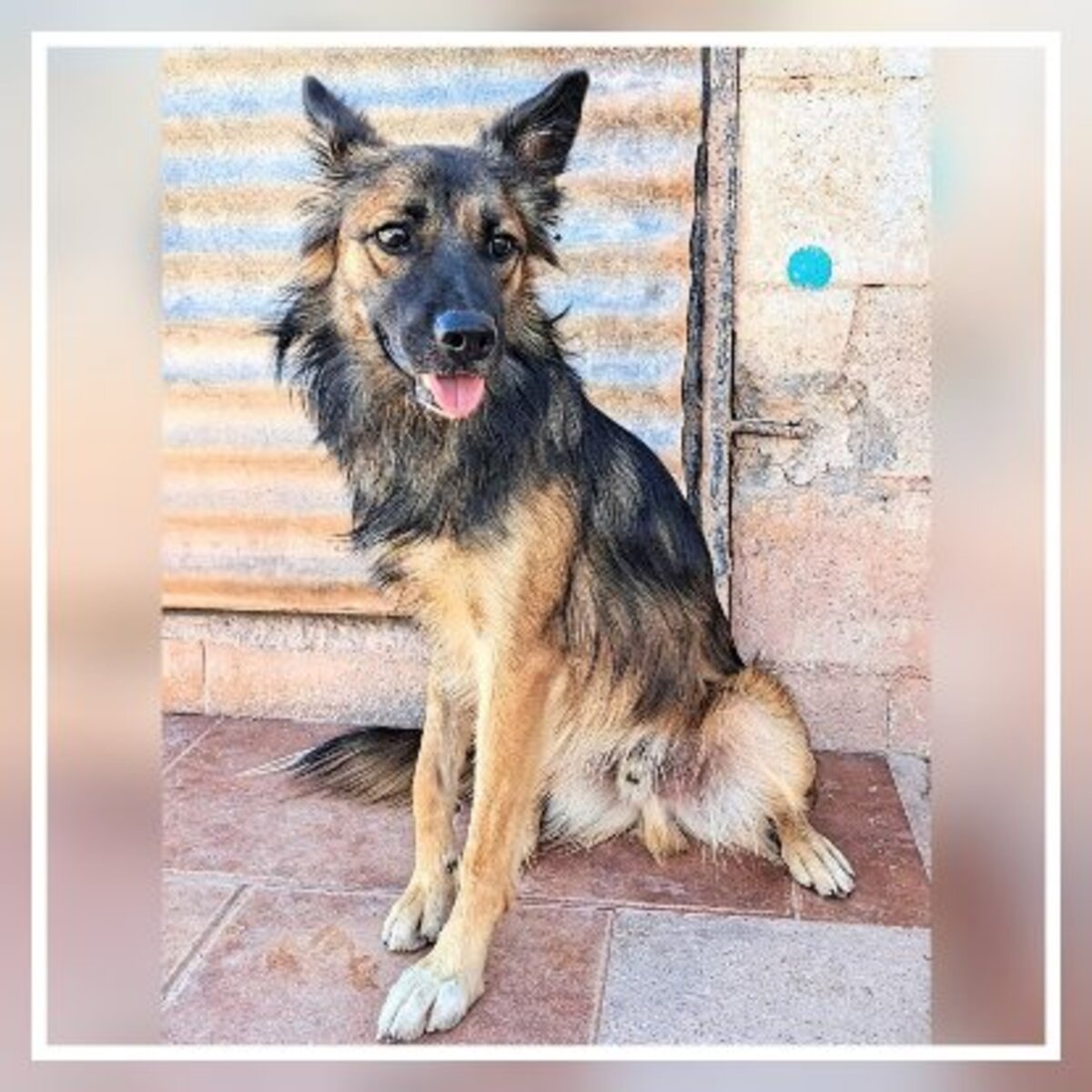 Adoption Peru