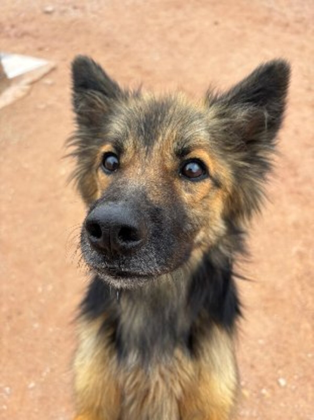 Adoption Peru
