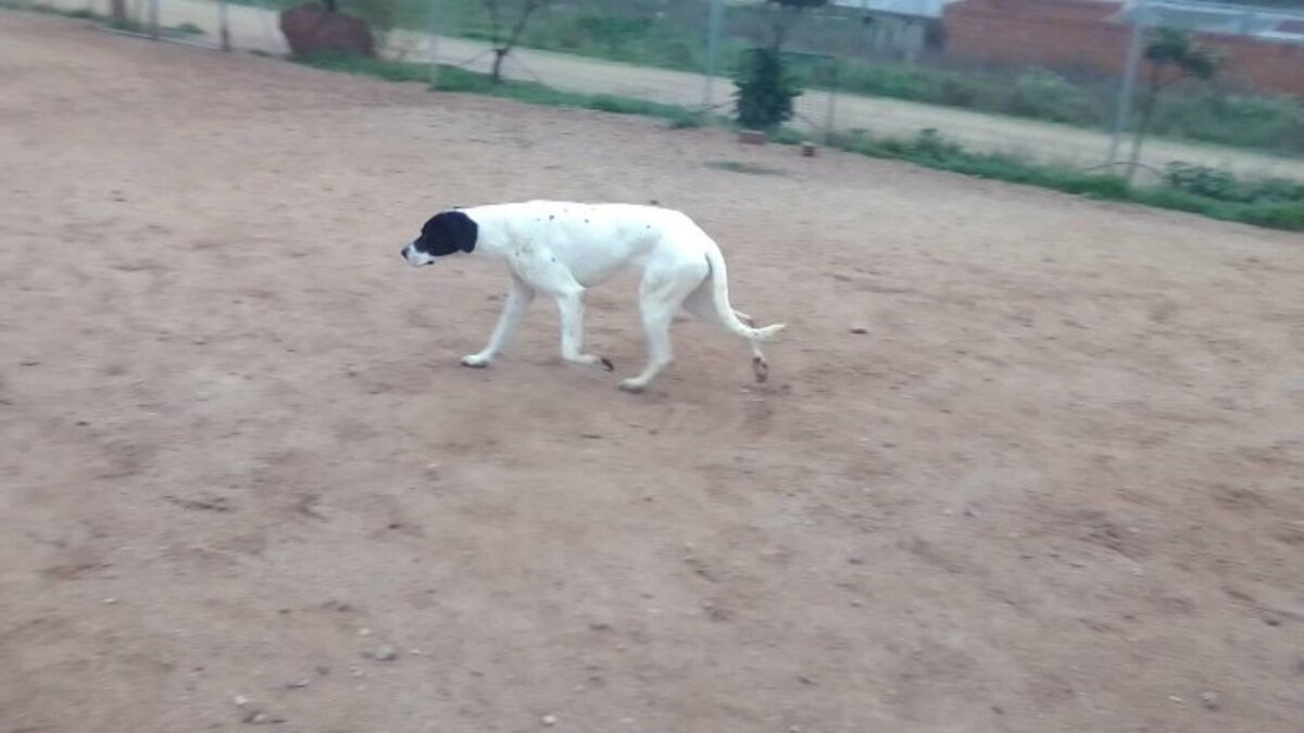 Adoption Pili & mili