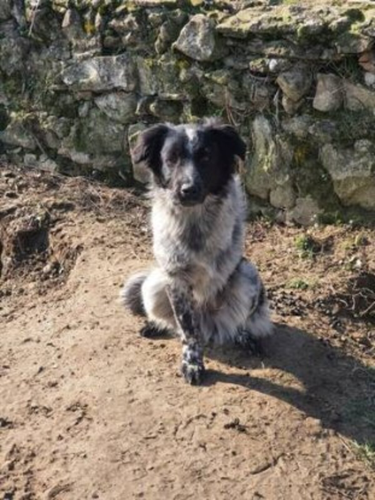Adoption Quebec