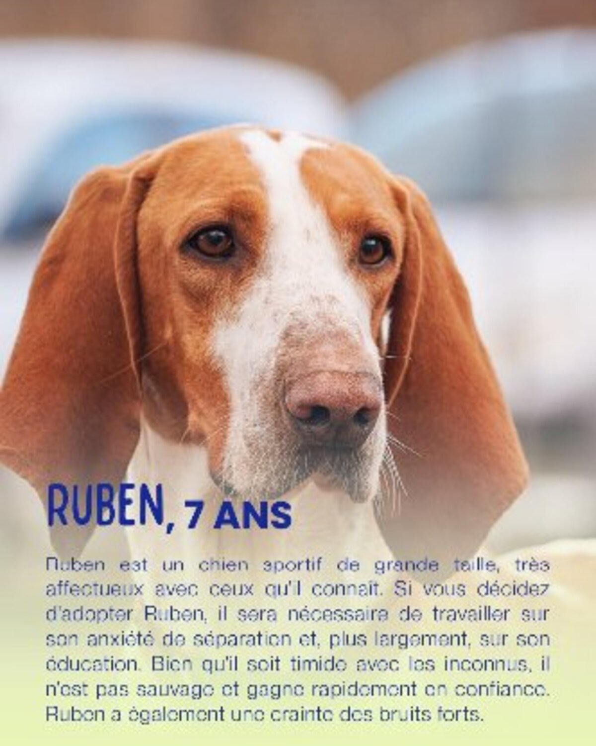 Adoption Ruben