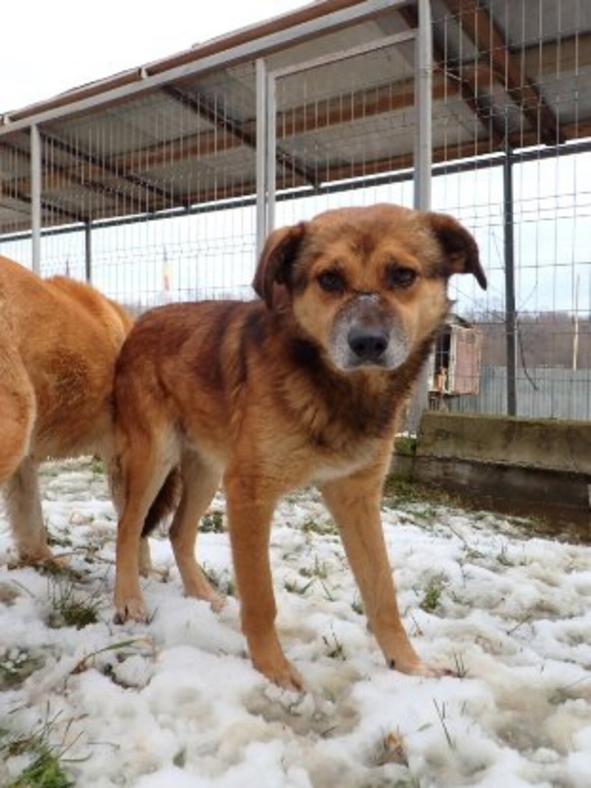 Adoption Sabayon