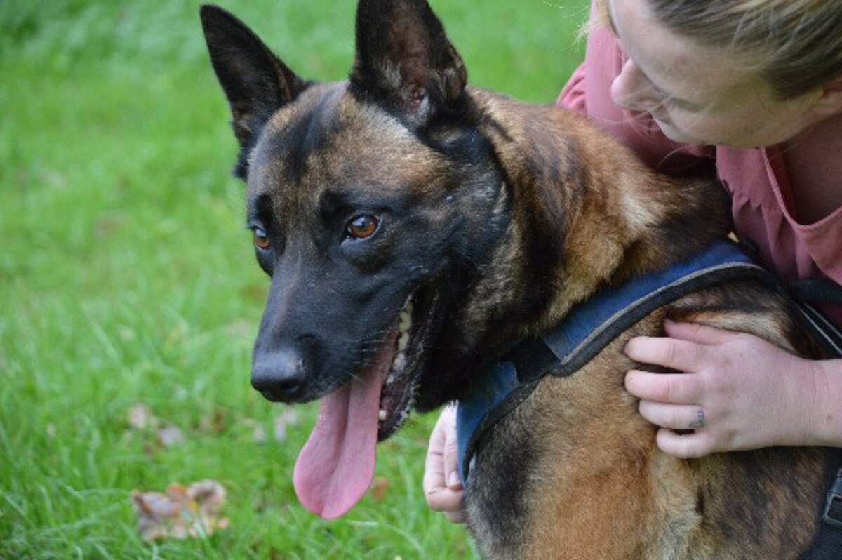 Adoption Sako