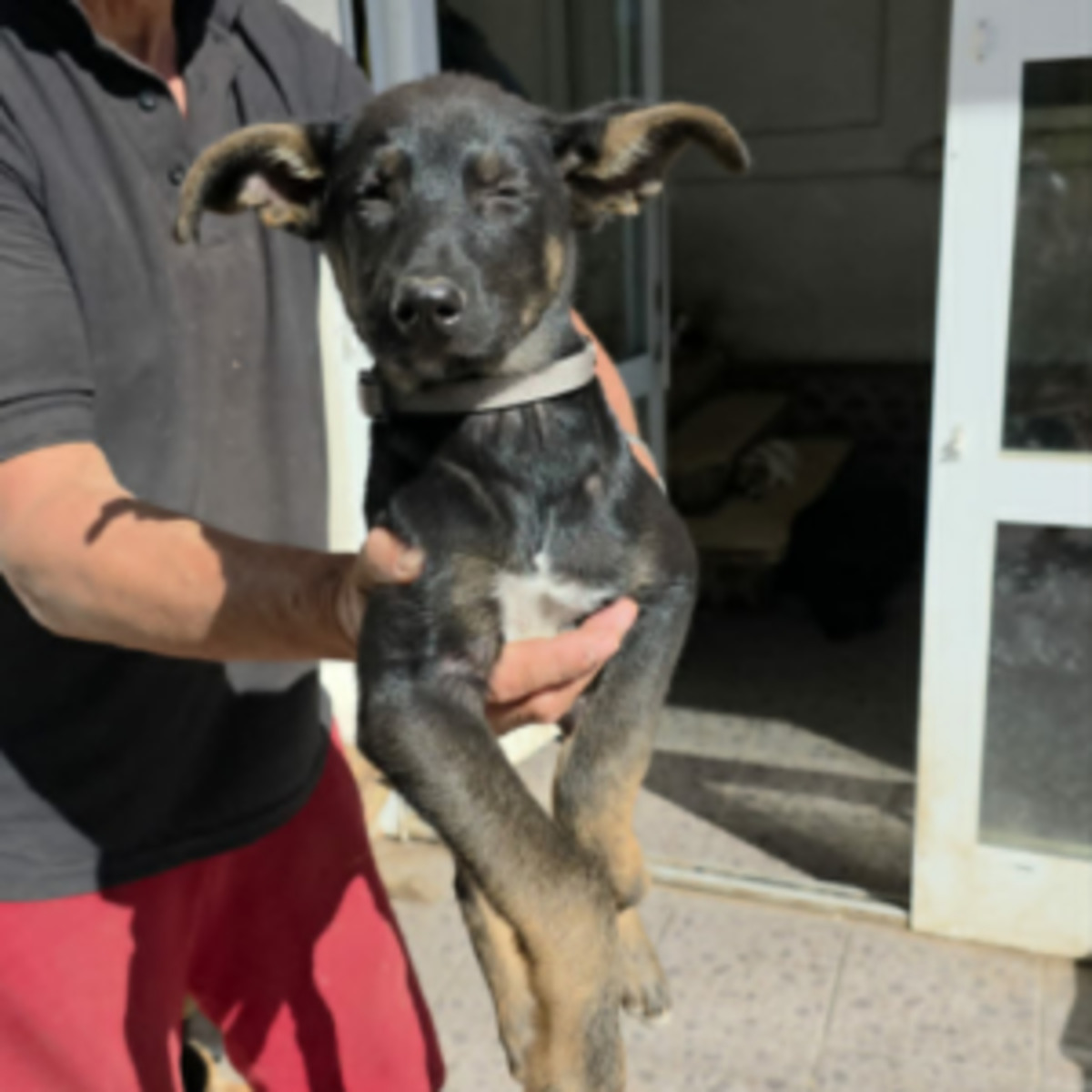 Adoption Samba