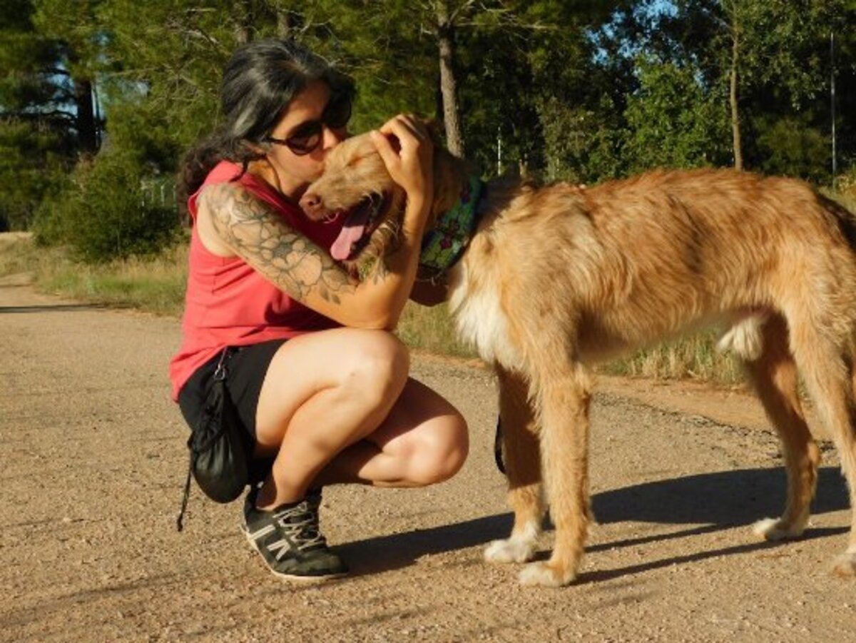 Adoption Sirio
