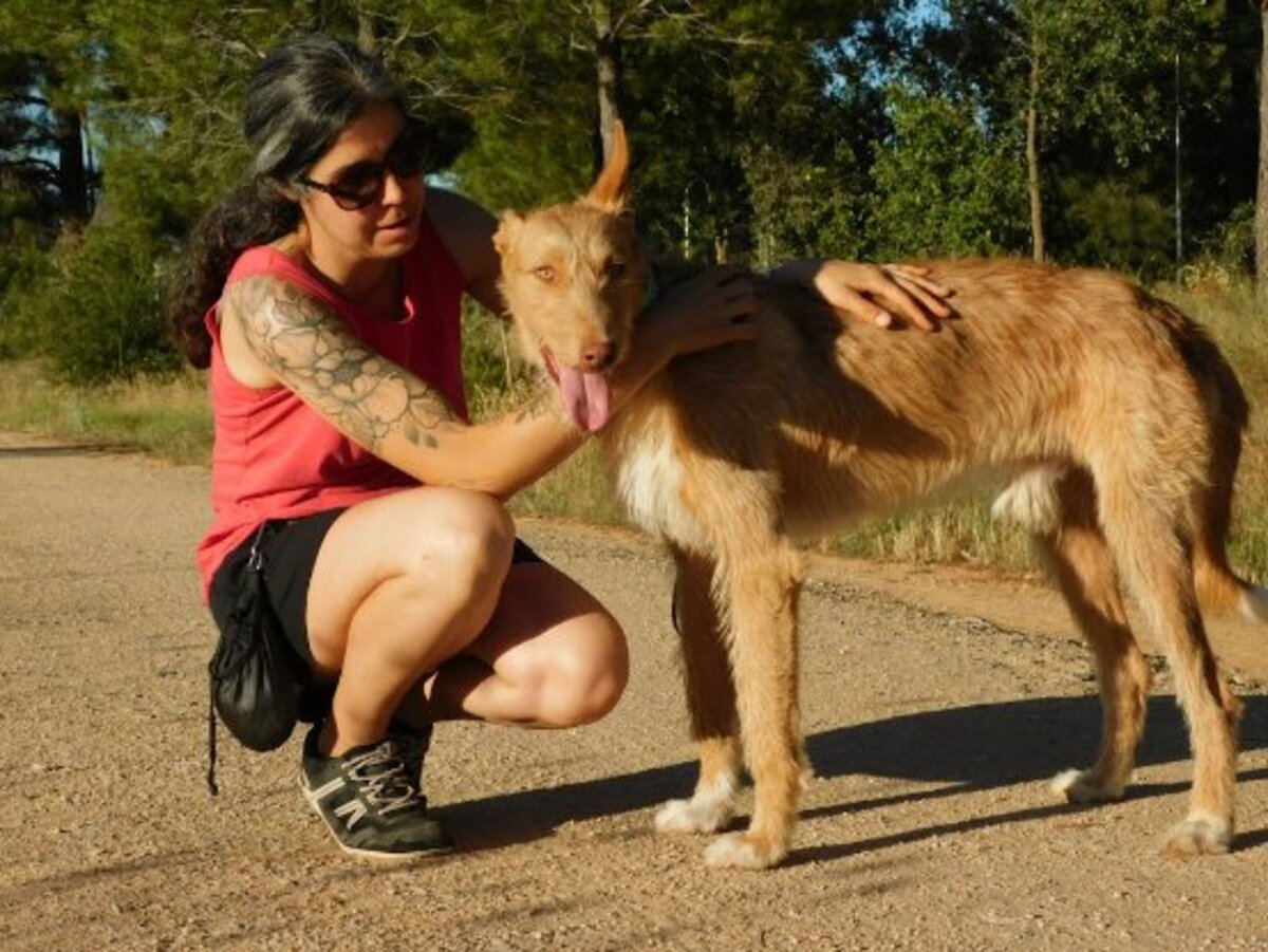 Adoption Sirio