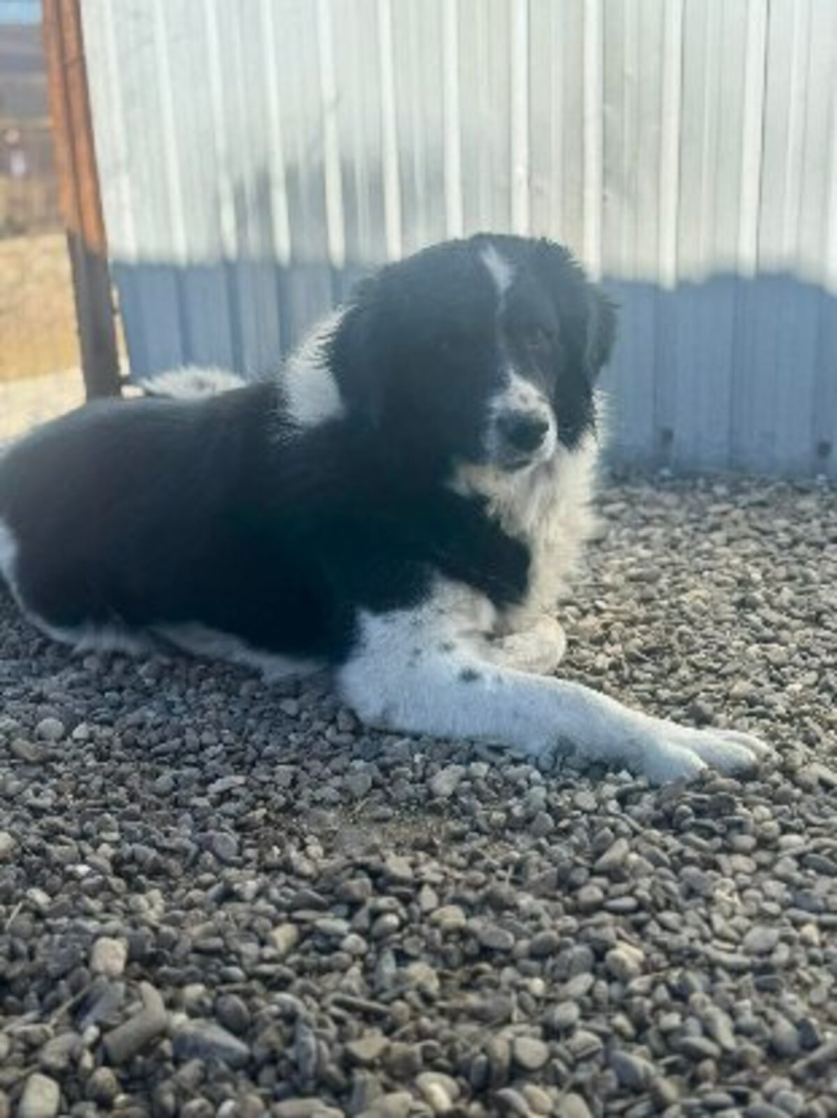 Adoption Solstice