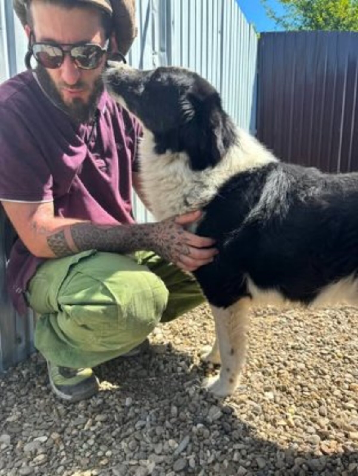 Adoption Solstice