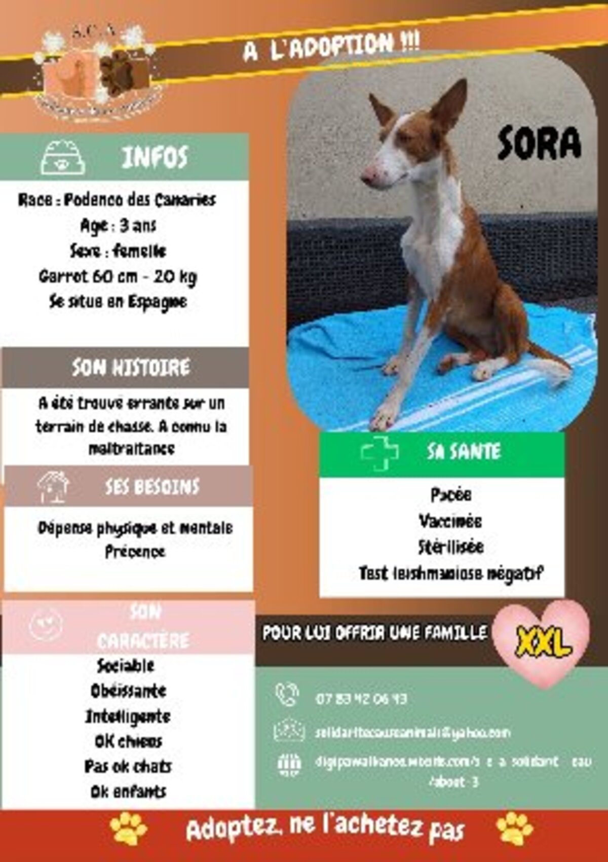Adoption Sora